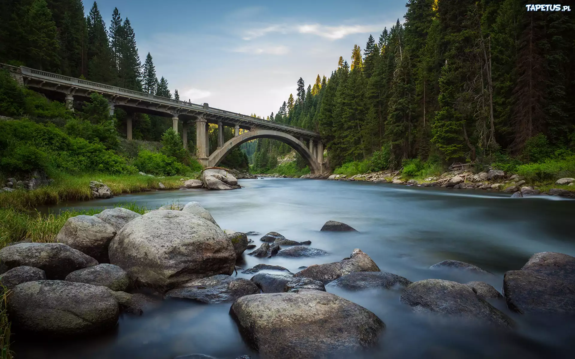 Las, Drzewa, Rzeka, Payette River, Kamienie, Most, Rainbow Bridge, Idaho, Stany Zjednoczone