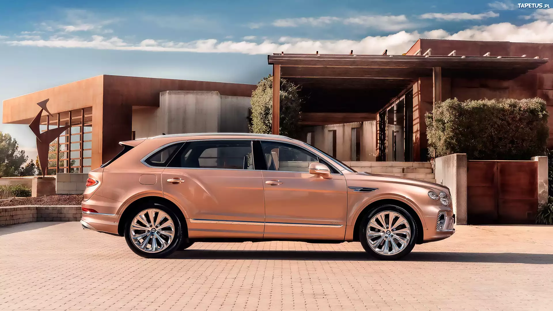 Bentley Bentayga EWB, Bok, Willa