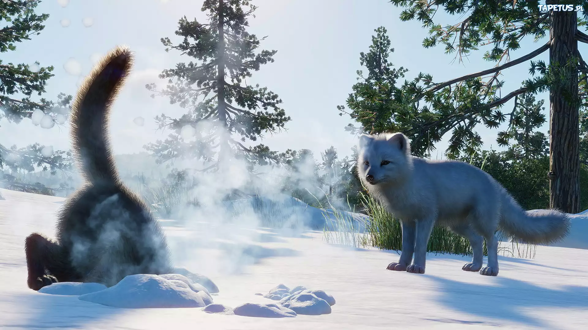 Zima, Las, Drzewa, Lis, Gra, Planet Zoo