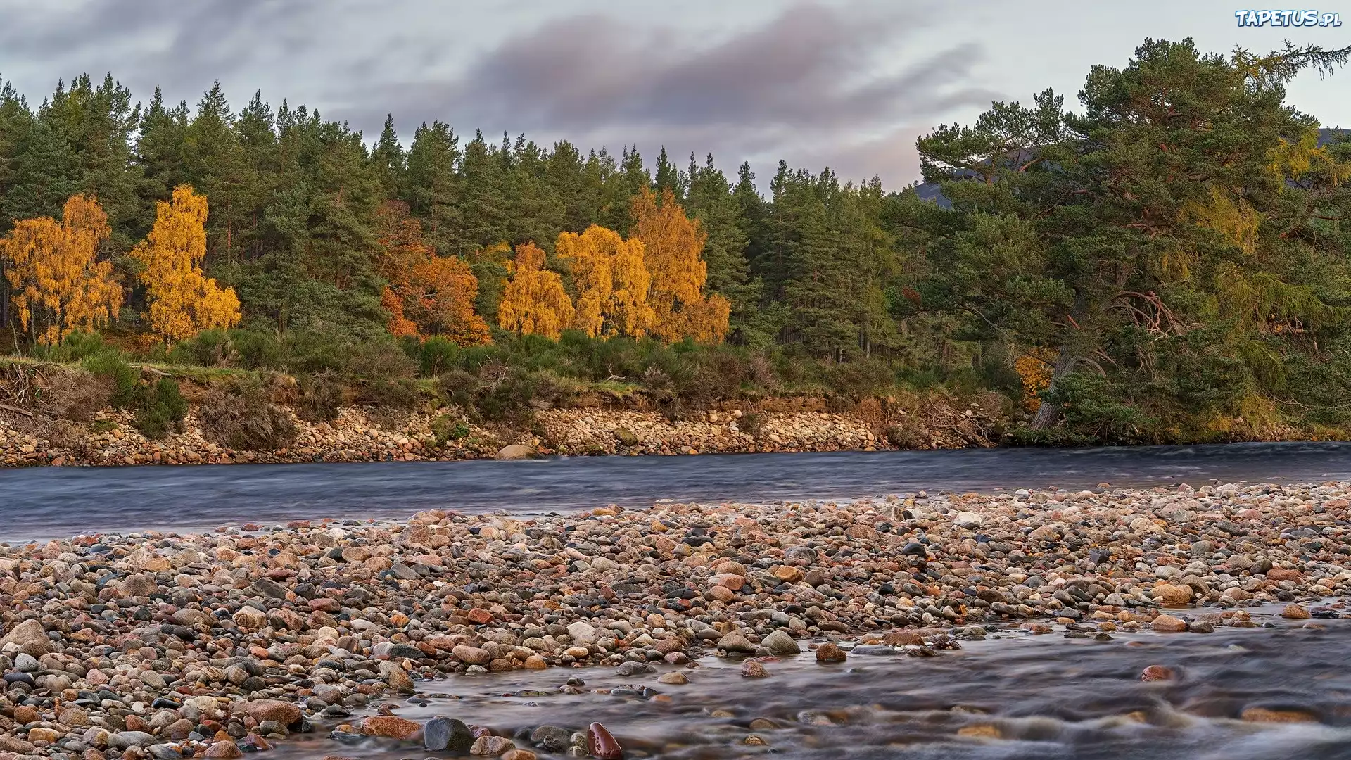 Drzewa, Kamienie, Rzeka, River Dee, Park Narodowy Cairngorms, Ballater, Szkocja