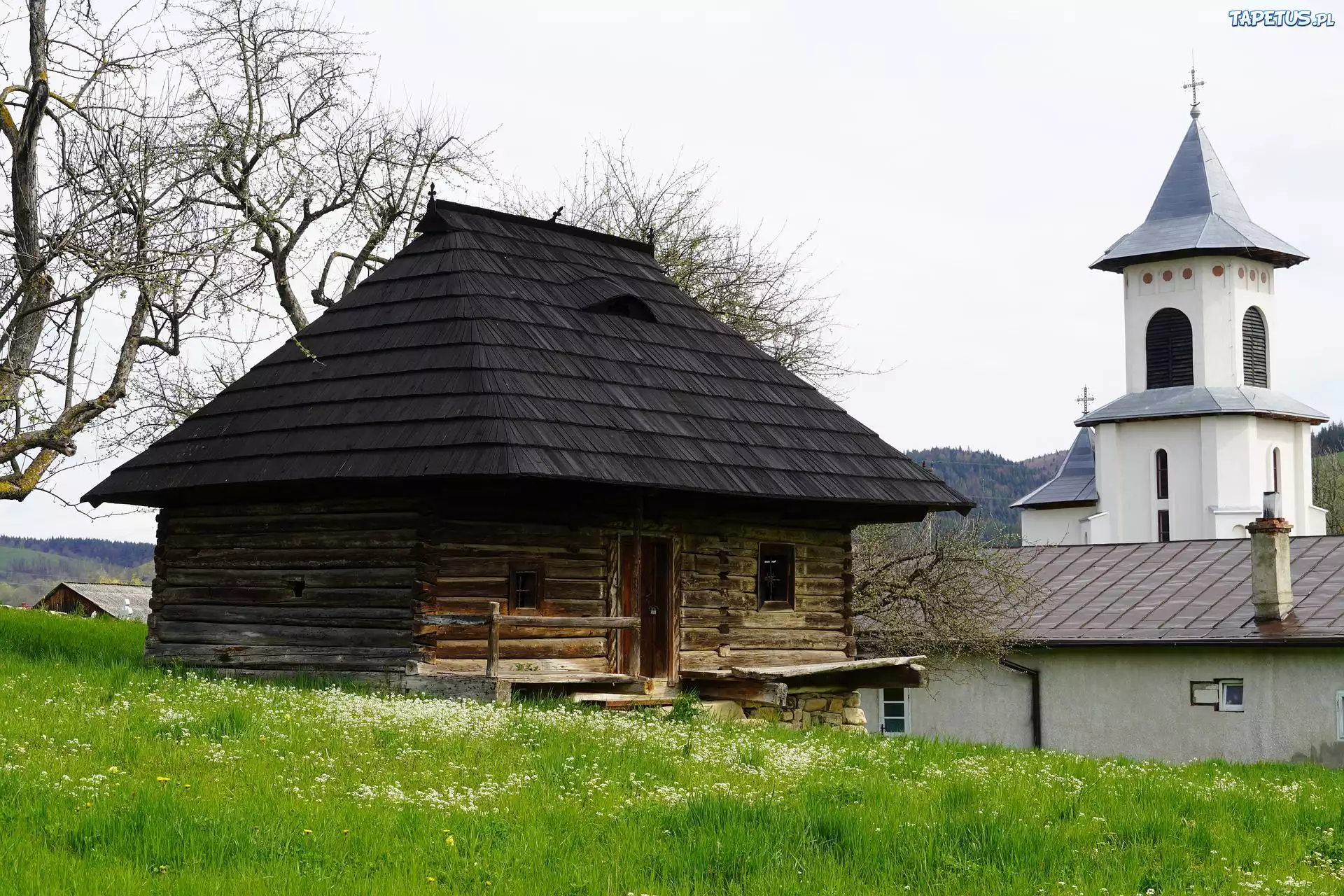 Stary, Dom, Drzewo, Kościół