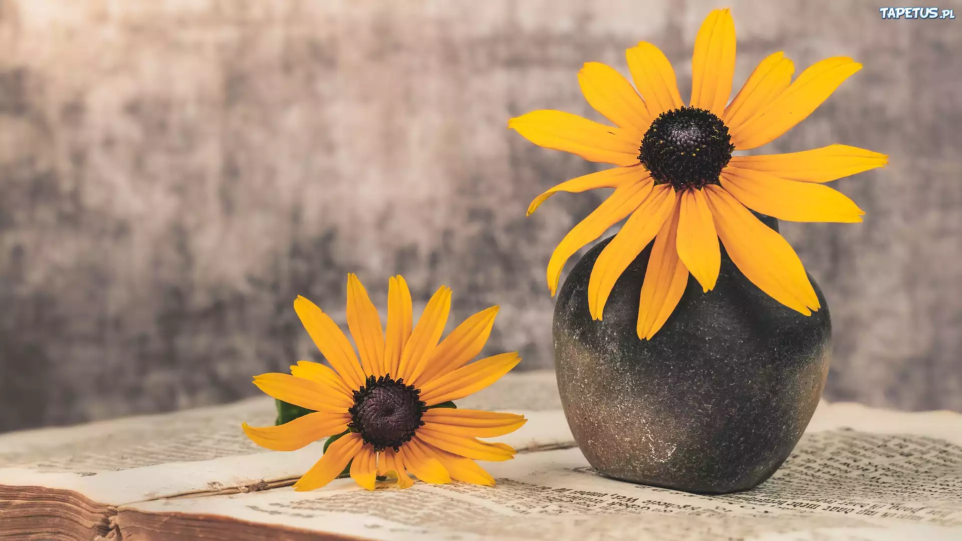 Żółte, Kwiaty, Rudbekia, Wazon, Książka