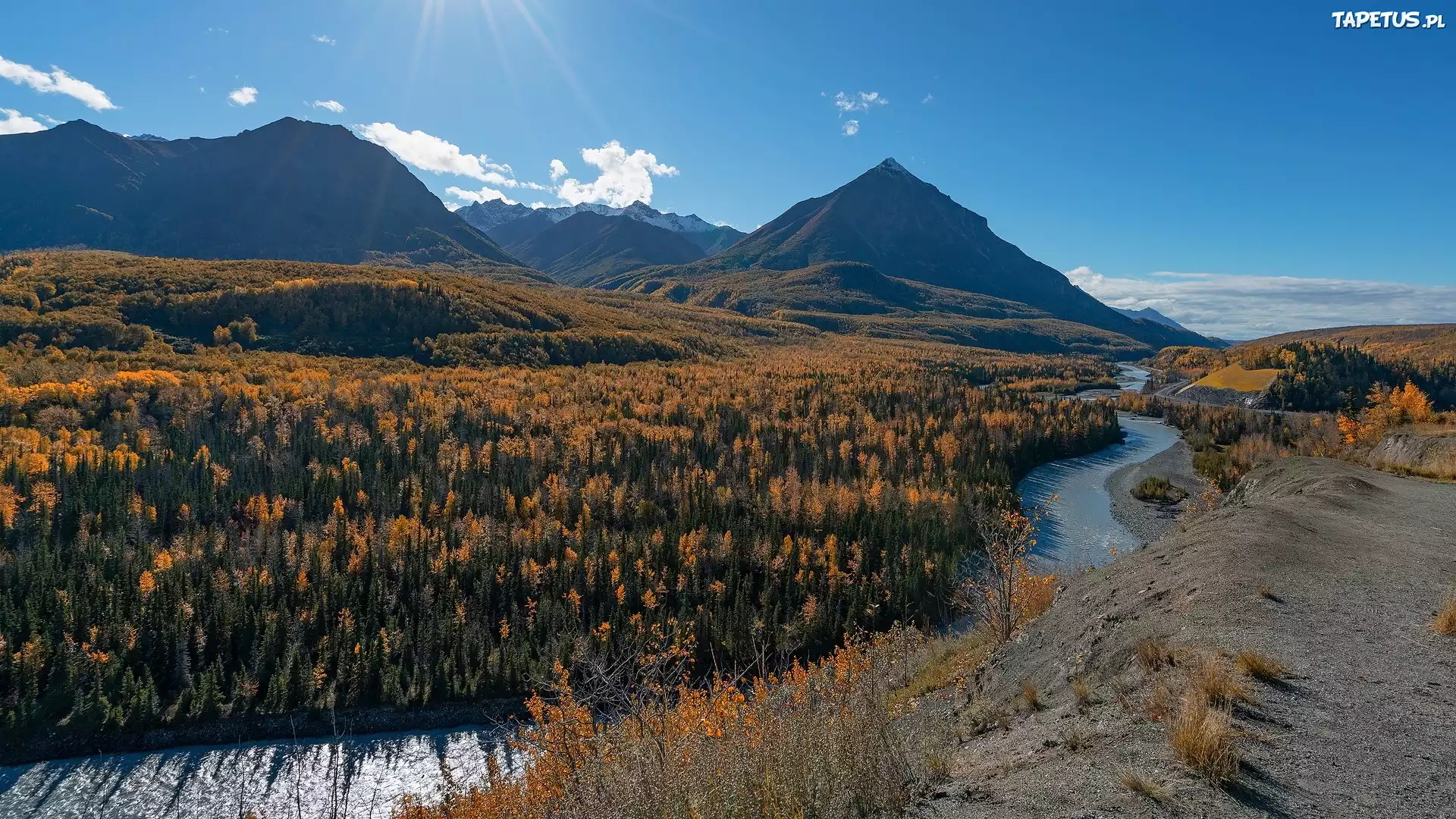 Góry, Chugach Mountains, Drzewa, Las, Rzeka, Matanuska River, Chickaloon, Alaska, Stany Zjednoczone