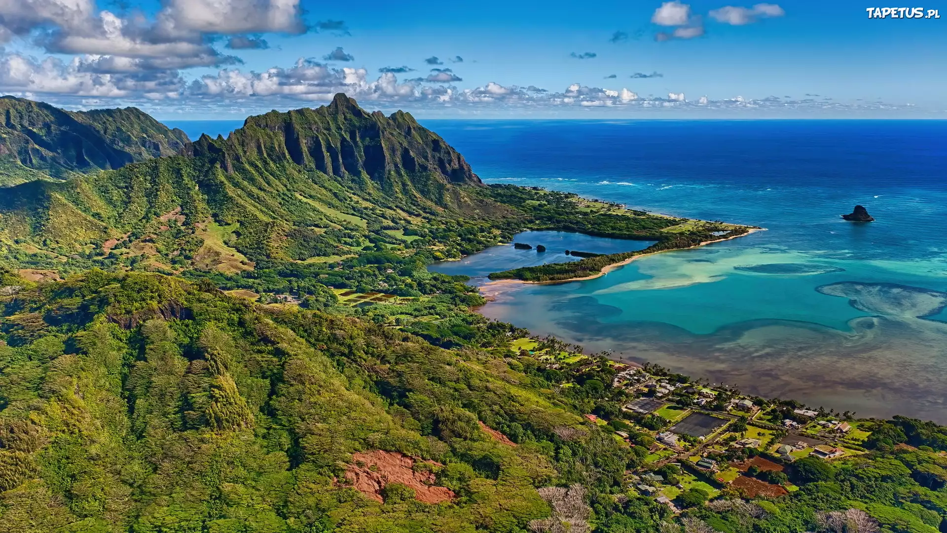 Wybrzeże, Windward Oahu, Góry, Góra, Koolau Mountains, Morze, Zatoki, Lasy, Wyspa Oahu, Hawaje, Stany Zjednoczone