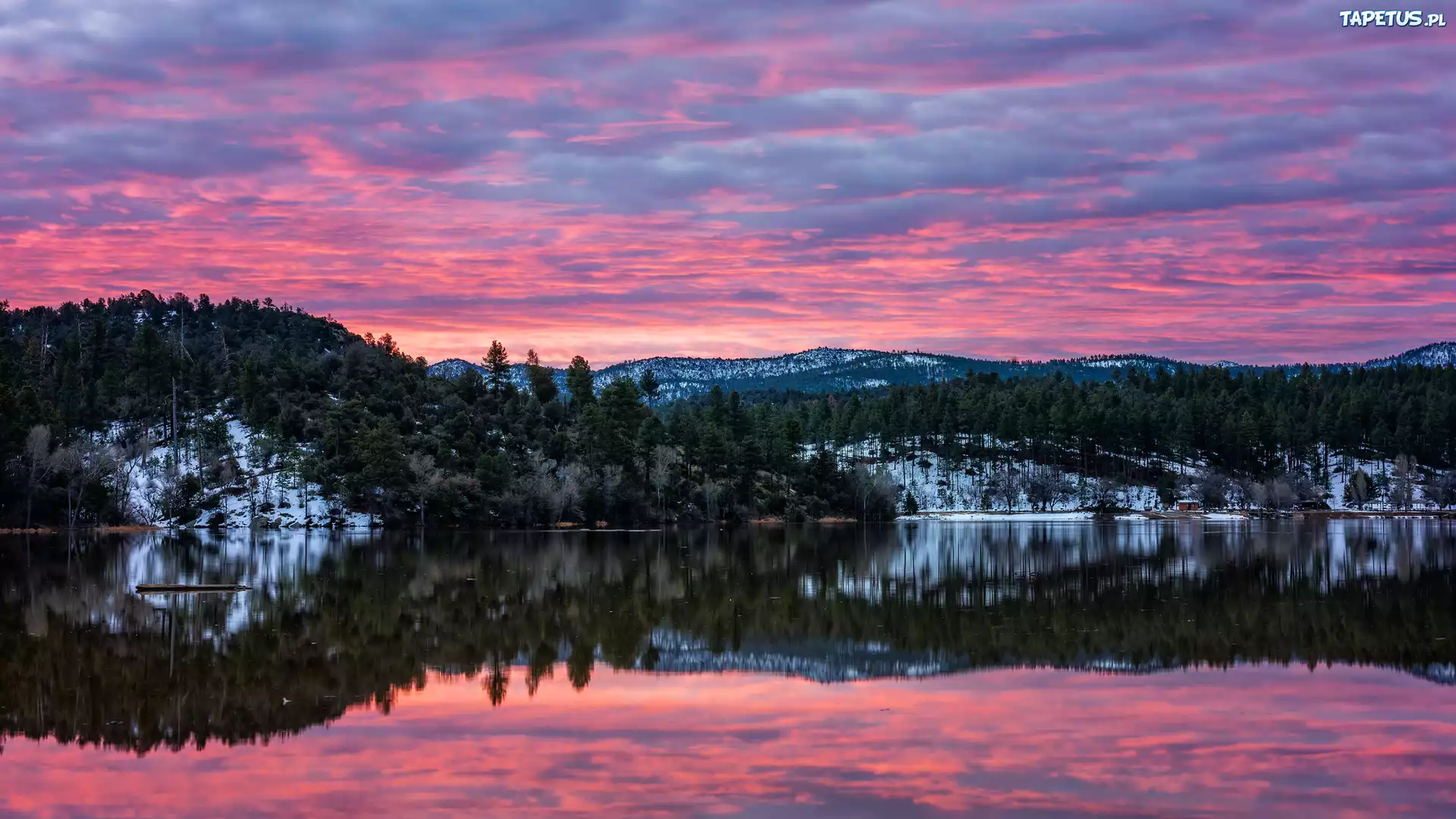 Wschód słońca, Kolorowe, Niebo, Góry, Jezioro, Lynx Lake, Drzewa, Odbicie, Arizona, Stany Zjednoczone