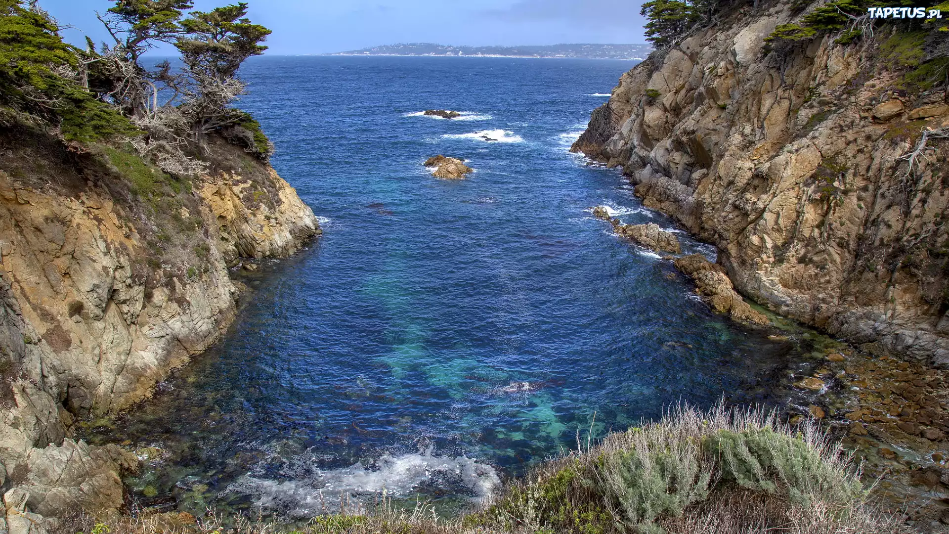 Morze, Skały, Zatoka, Drzewa, Rezerwat Point Lobos, Carmel by the Sea, Kalifornia, Stany Zjednoczone