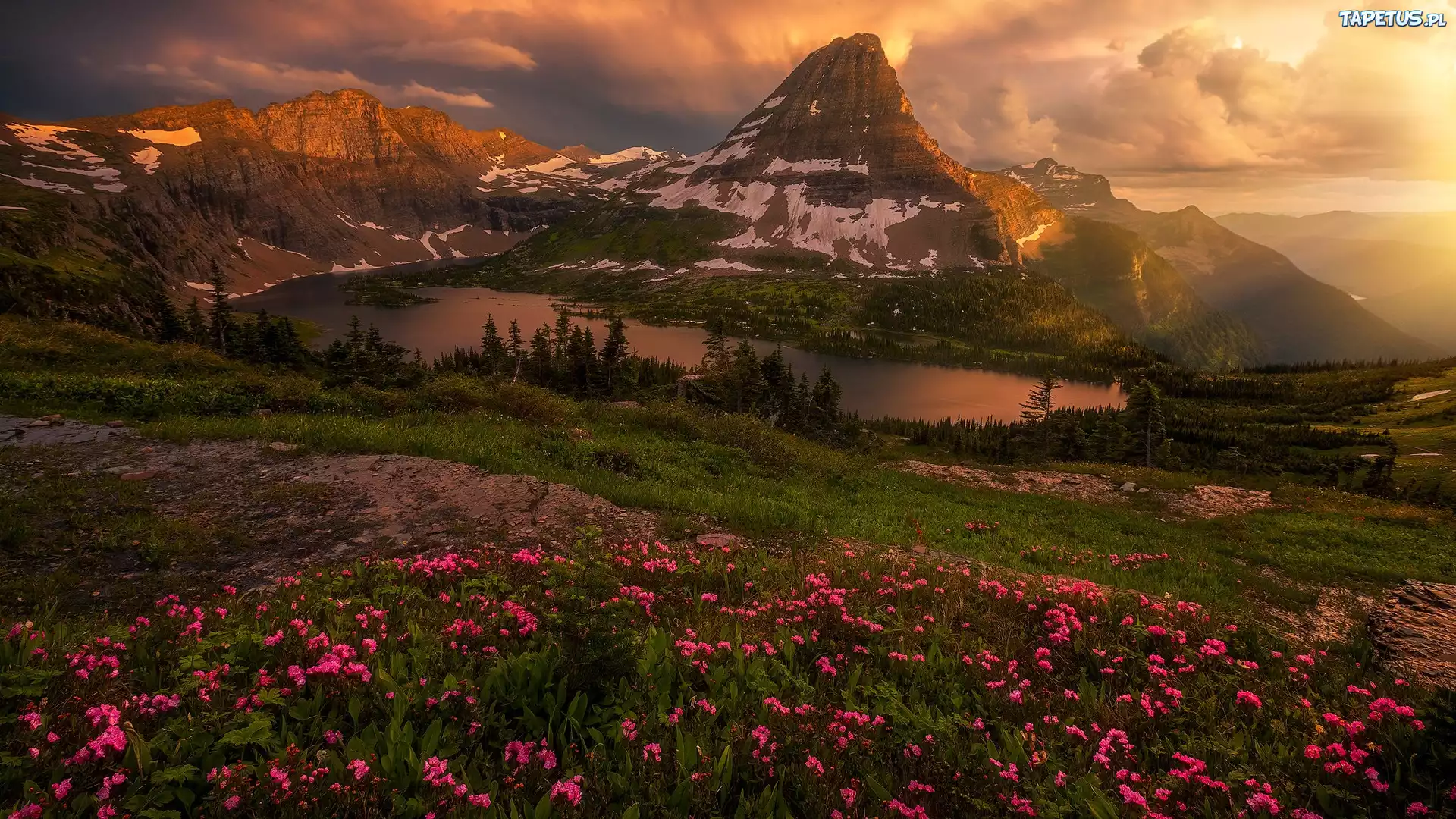 Góry, Lewis Range, Jezioro, Hidden Lake, Łąka, Kwiaty, Chmury, Park Narodowy Glacier, Montana, Stany Zjednoczone
