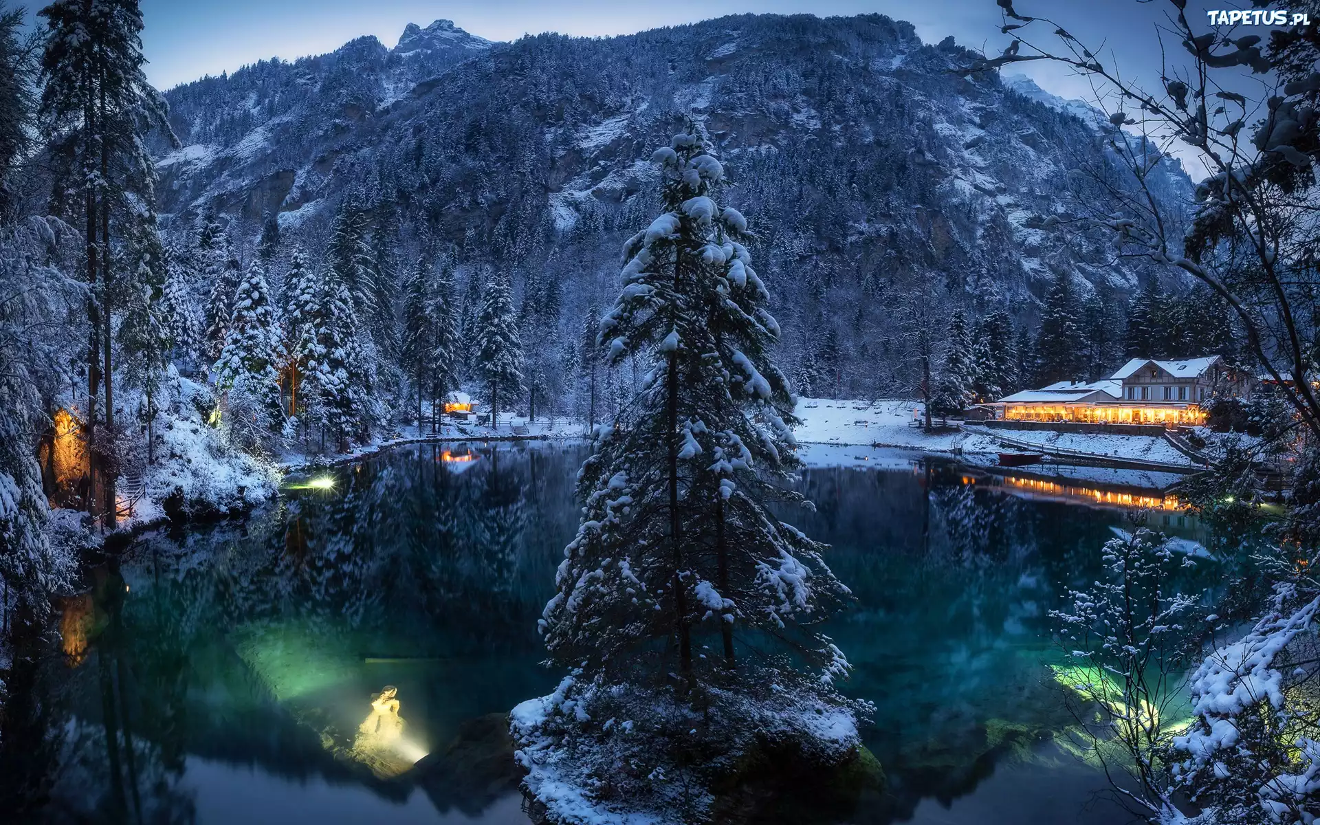 Zima, Góry, Las, Drzewa, Domy, Światła, Jezioro Blausee, Szwajcaria