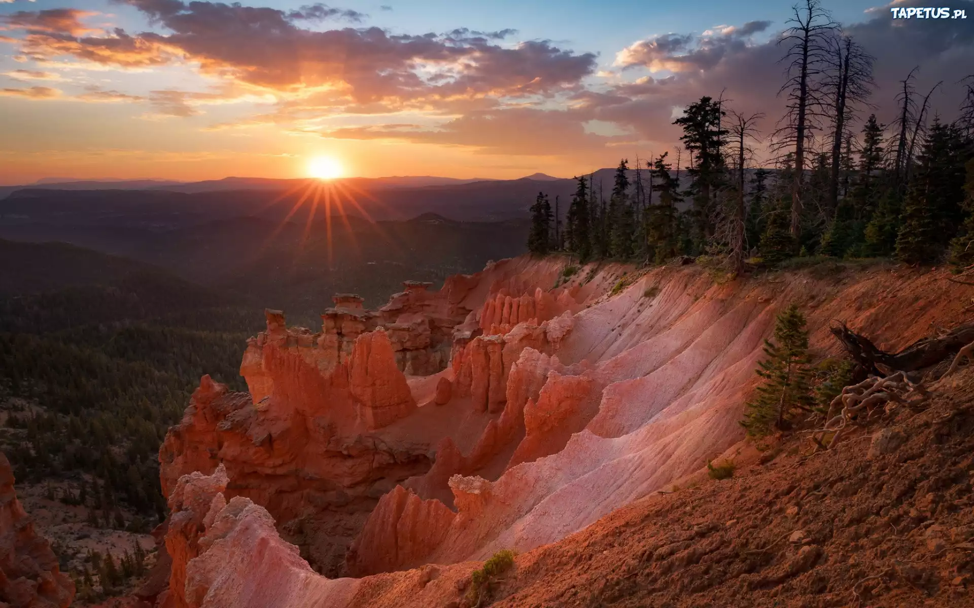 Zachód słońca, Skały, Drzewa, Promienie słońca, Park Narodowy Bryce Canyon, Utah, Stany zjednoczone