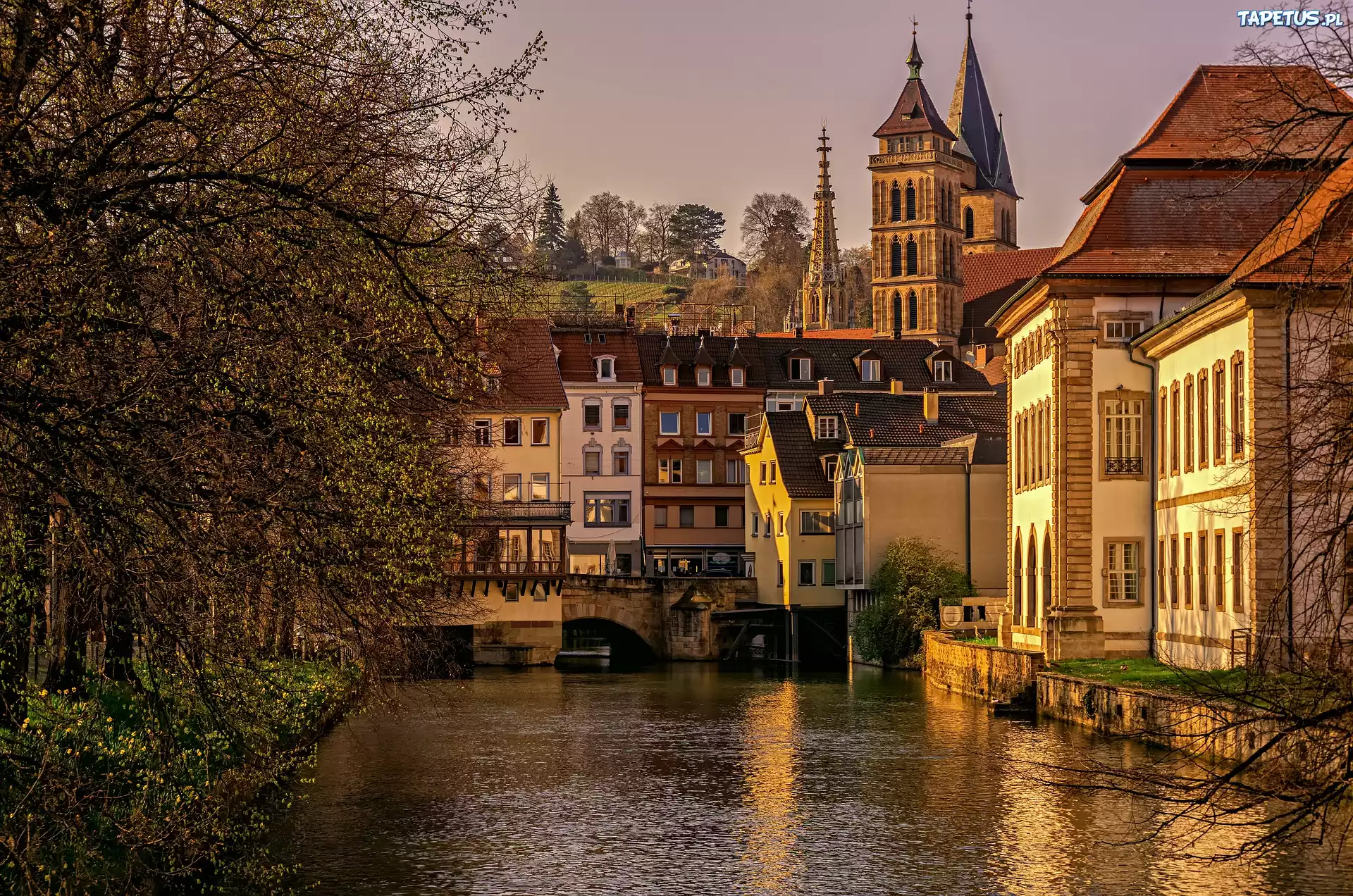Rzeka Neckar, Domy, Kościół, Drzewa, Esslingen, Niemcy