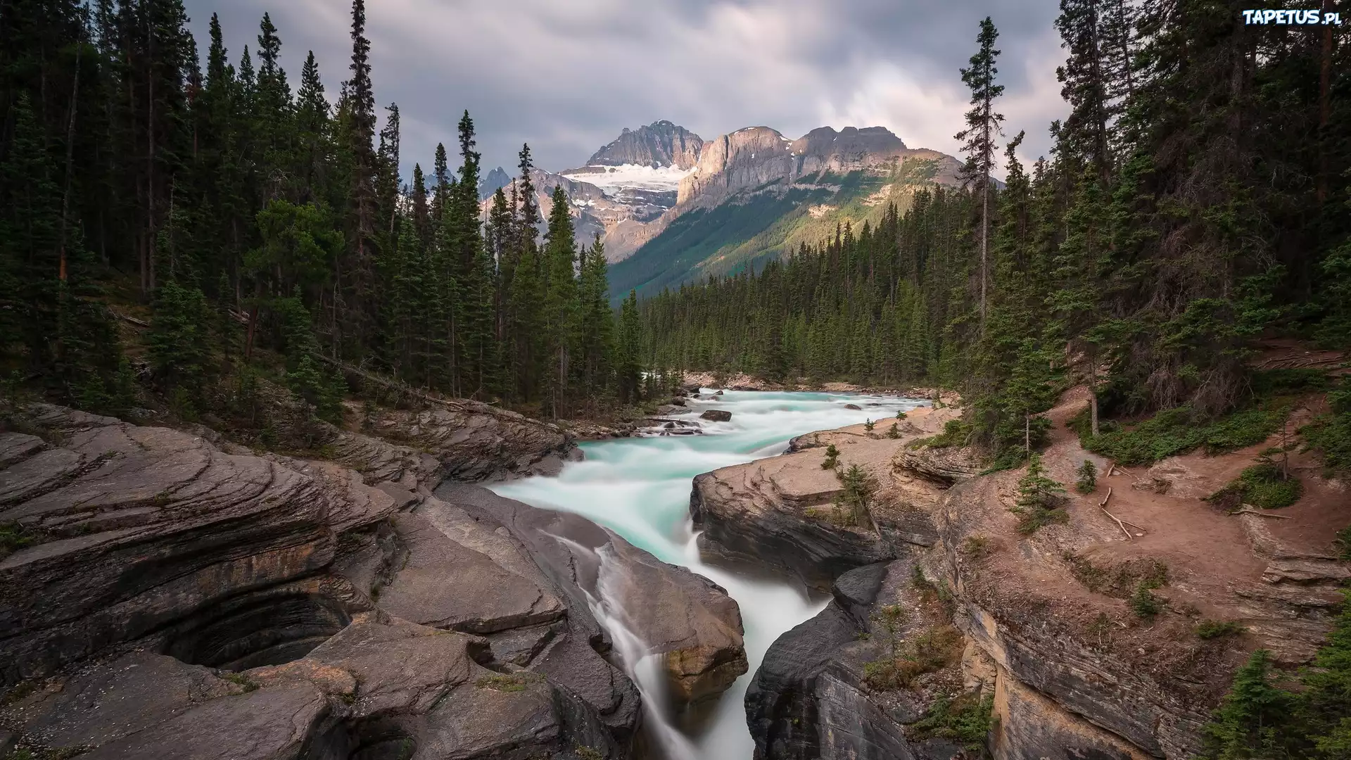 Rzeka, Mistaya River, Skały, Las, Drzewa, Góry, Canadian Rockies, Góra, Mount Sarbach, Park Narodowy Banff, Alberta, Kanada