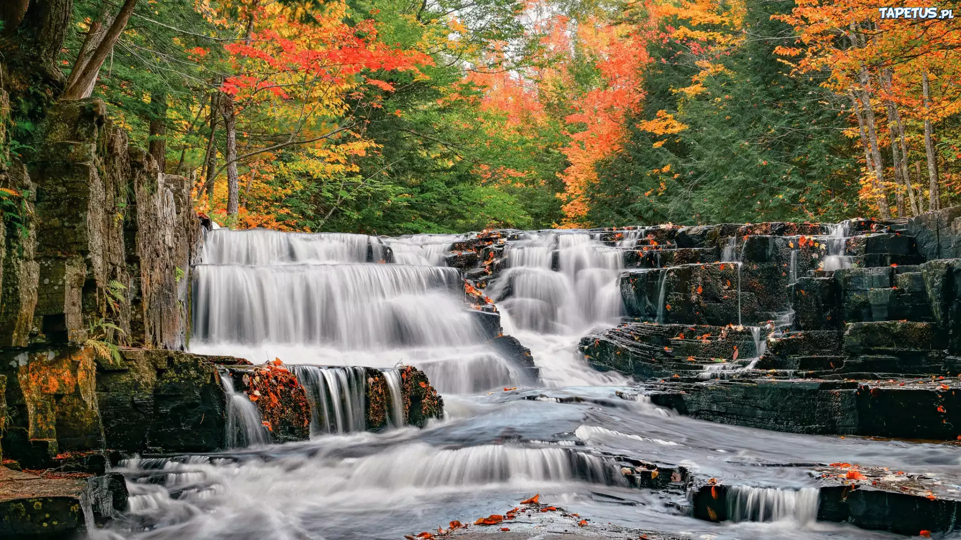 Wodospad, Quartzite Falls, Jesień, Drzewa, Rzeka, Slate River, Kamienie, Liście, Hrabstwo Baraga, Michigan, Stany Zjednoczone