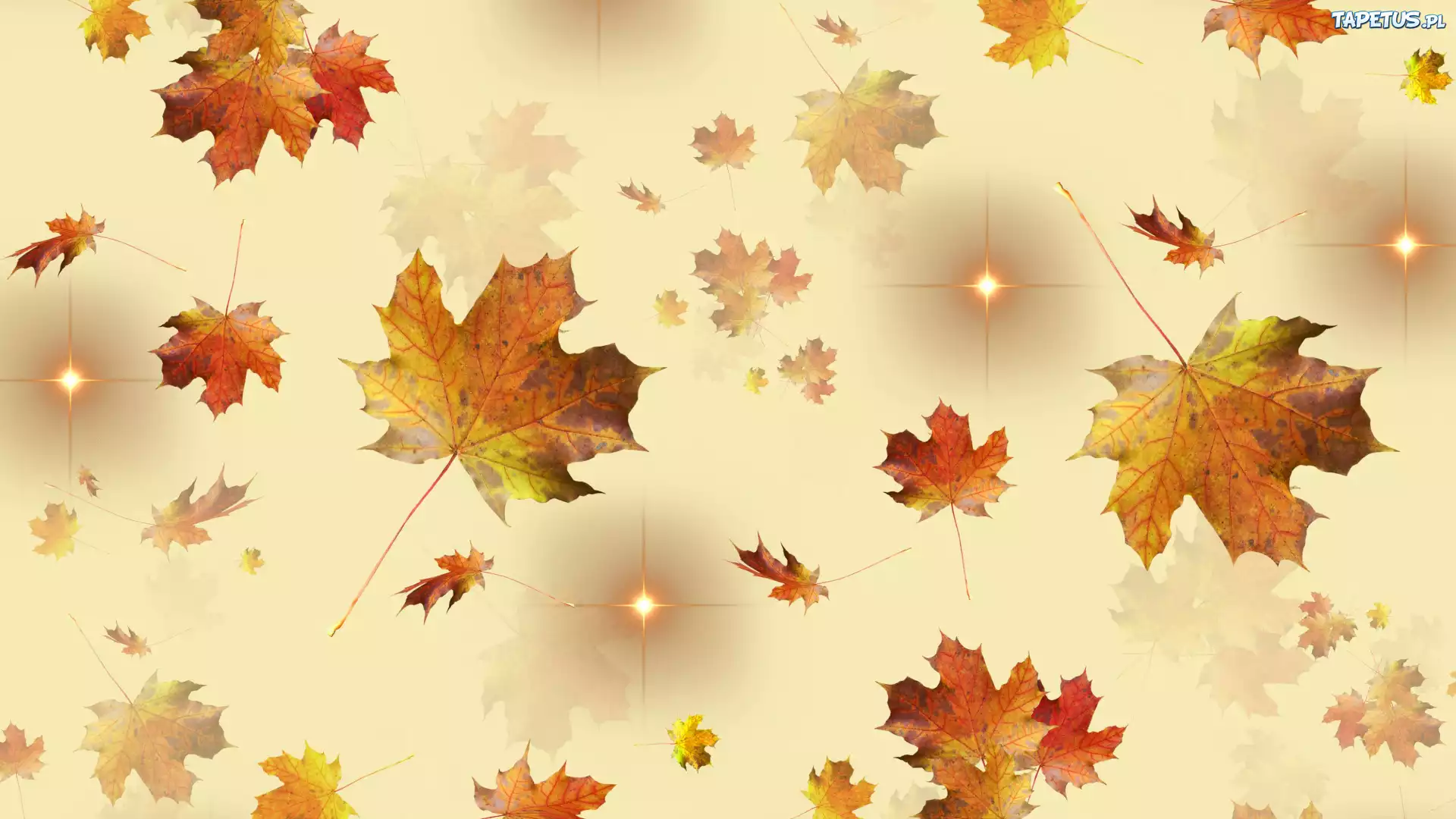 Jesień, Liście, Gwiazdy, Tekstura
