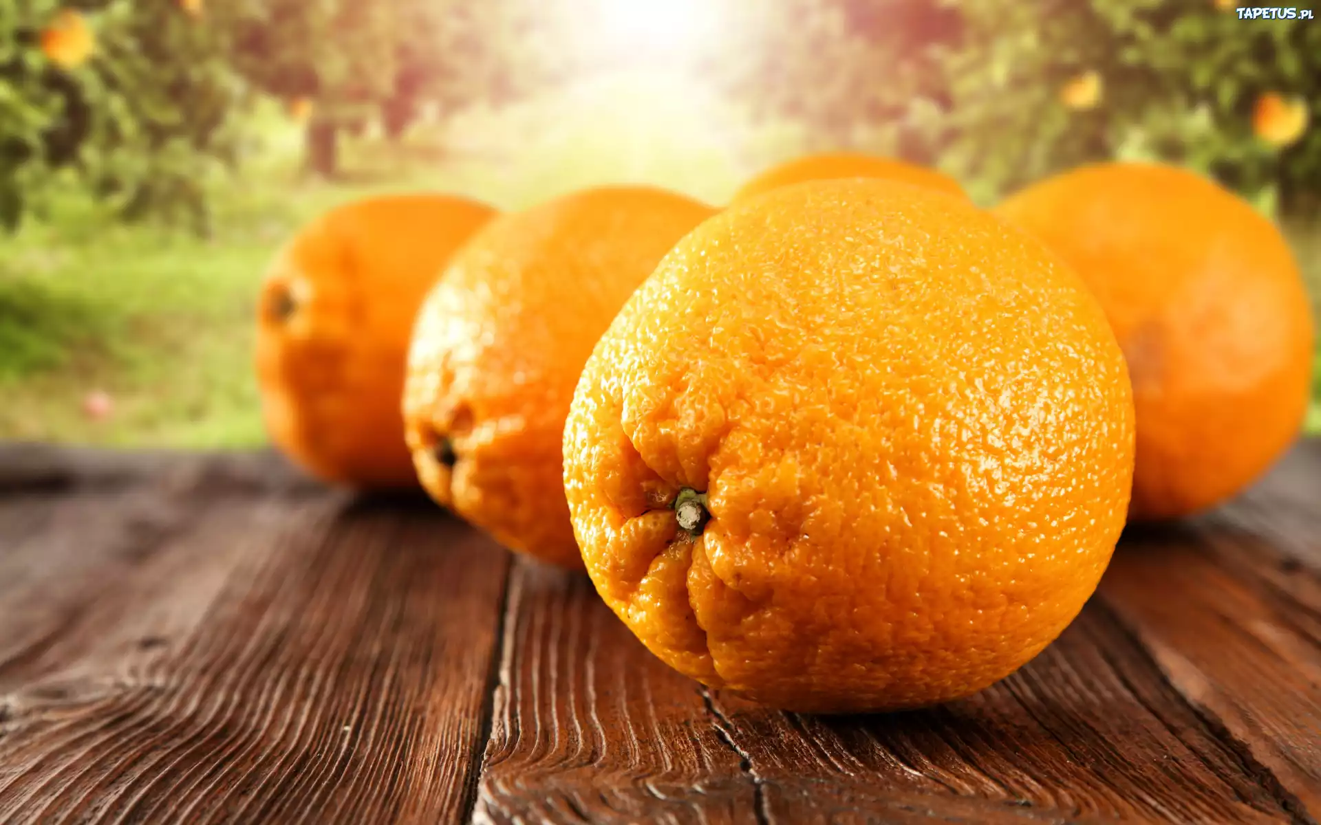 Pomarańcze, Deski