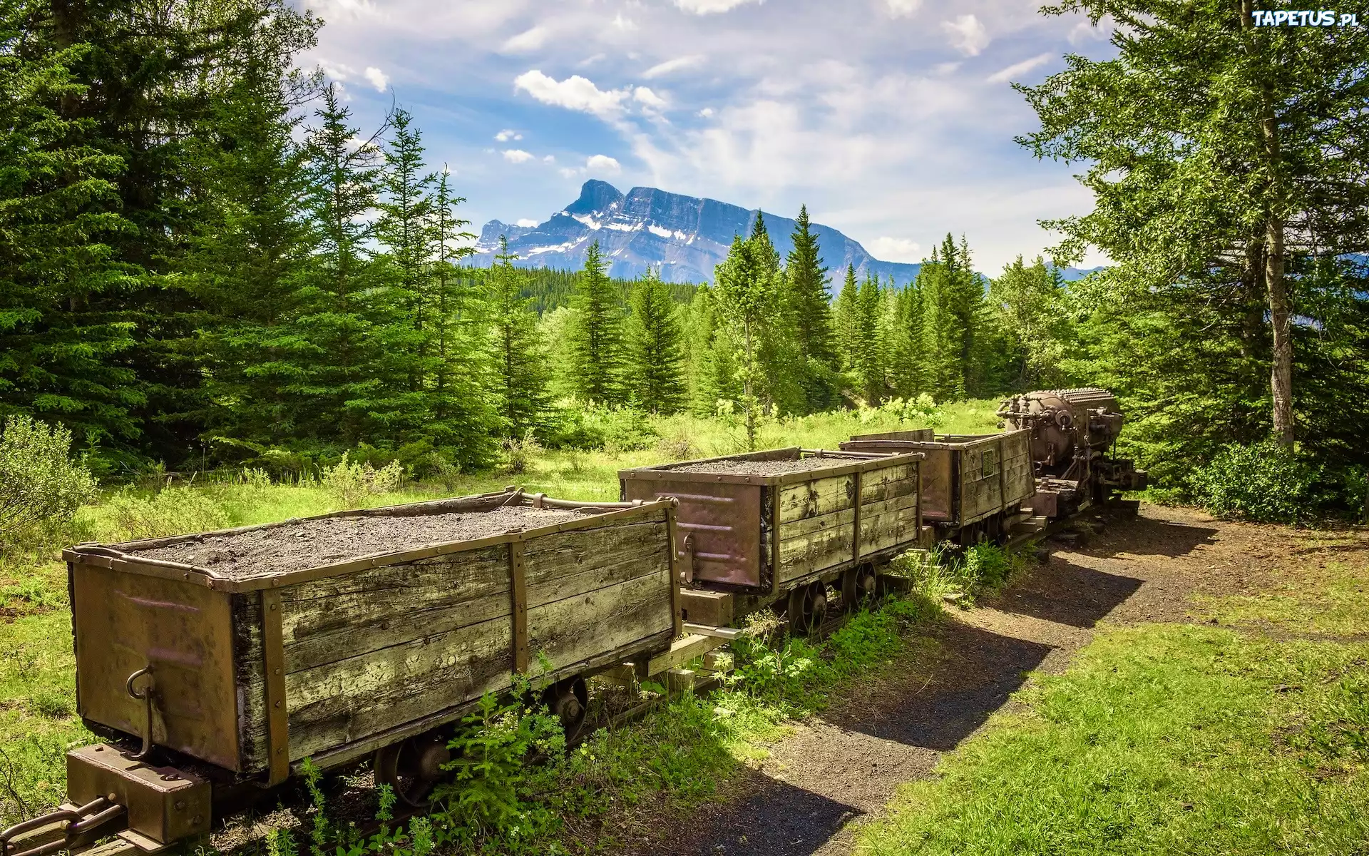 Kanada, Alberta, Lasy, Drzewa, Góra, Mount Rundle, Park Narodowy Banff