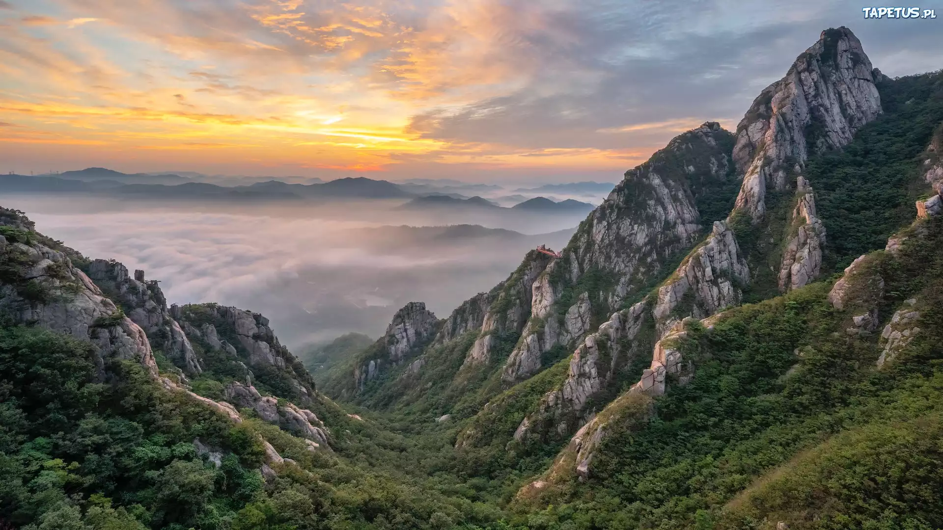 Góry, Lasy, Skały, Słoneczne światło, Mgła, Góry Wolchulsan, Park Narodowy Wolchulsan, Prowincja Jeolla Południowa, Korea Południowa