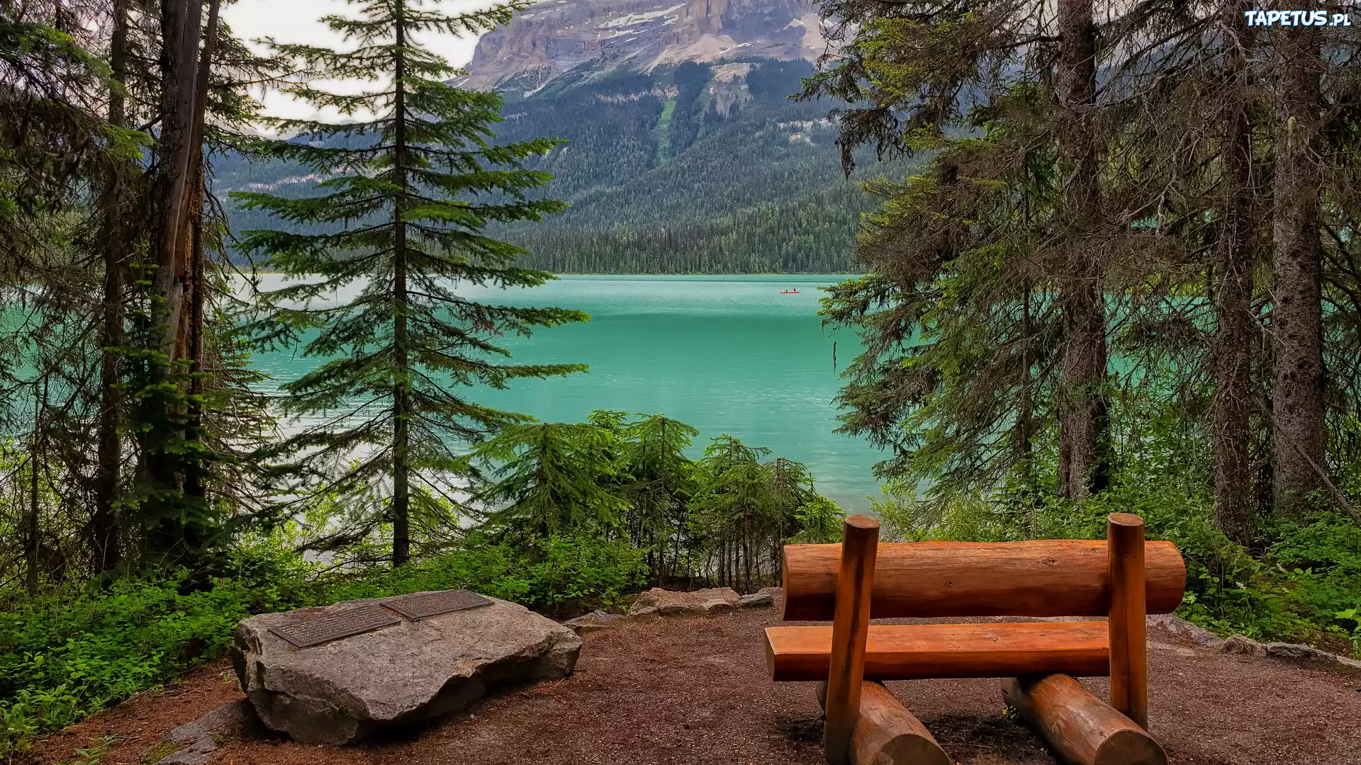 Jezioro, Emerald Lake, Drzewa, Góry, Ławka, Park Narodowy Yoho, Kolombia Brytjska, Kanada