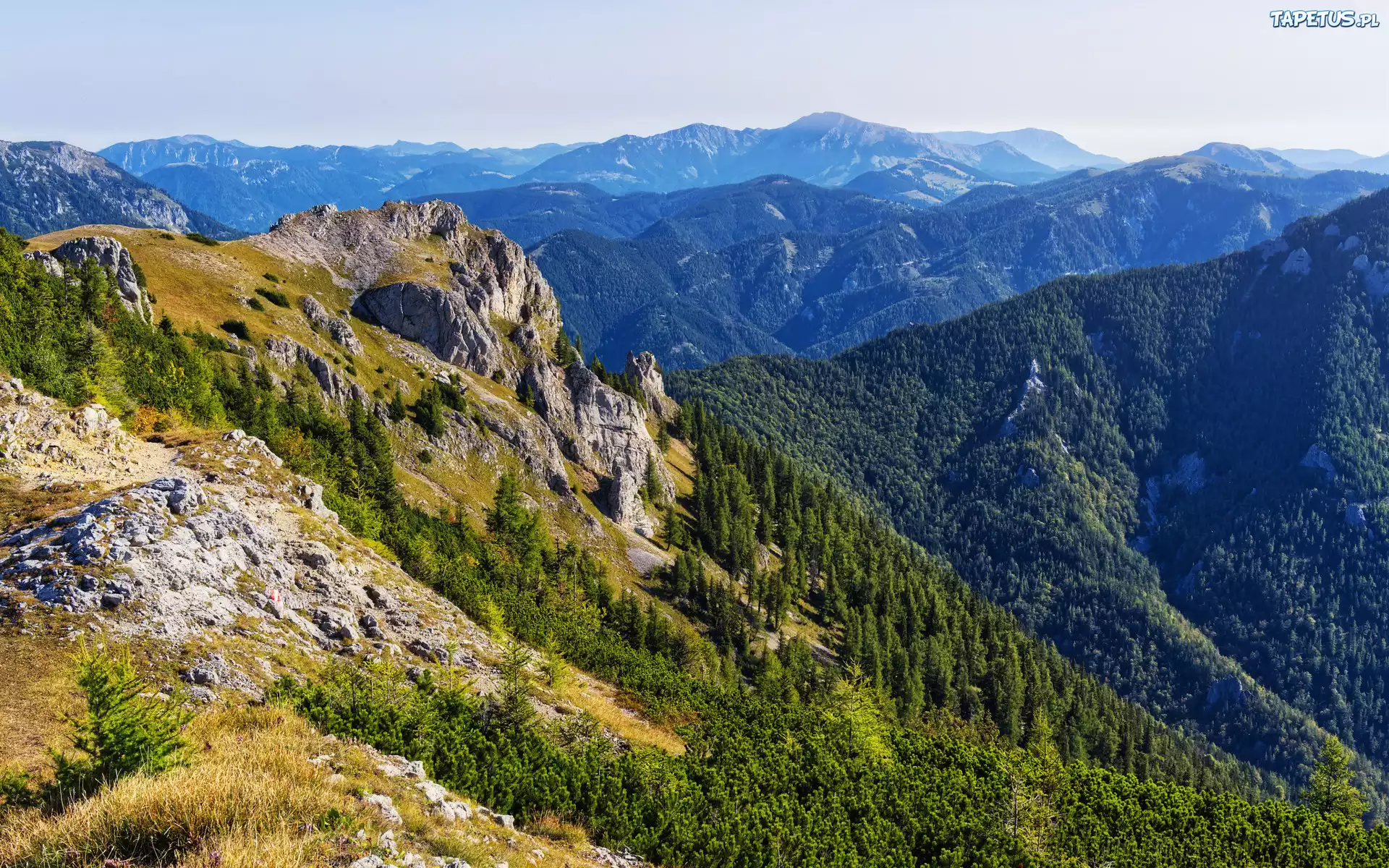 Góry Hochschwab, Skały, Lasy, Styria, Austria