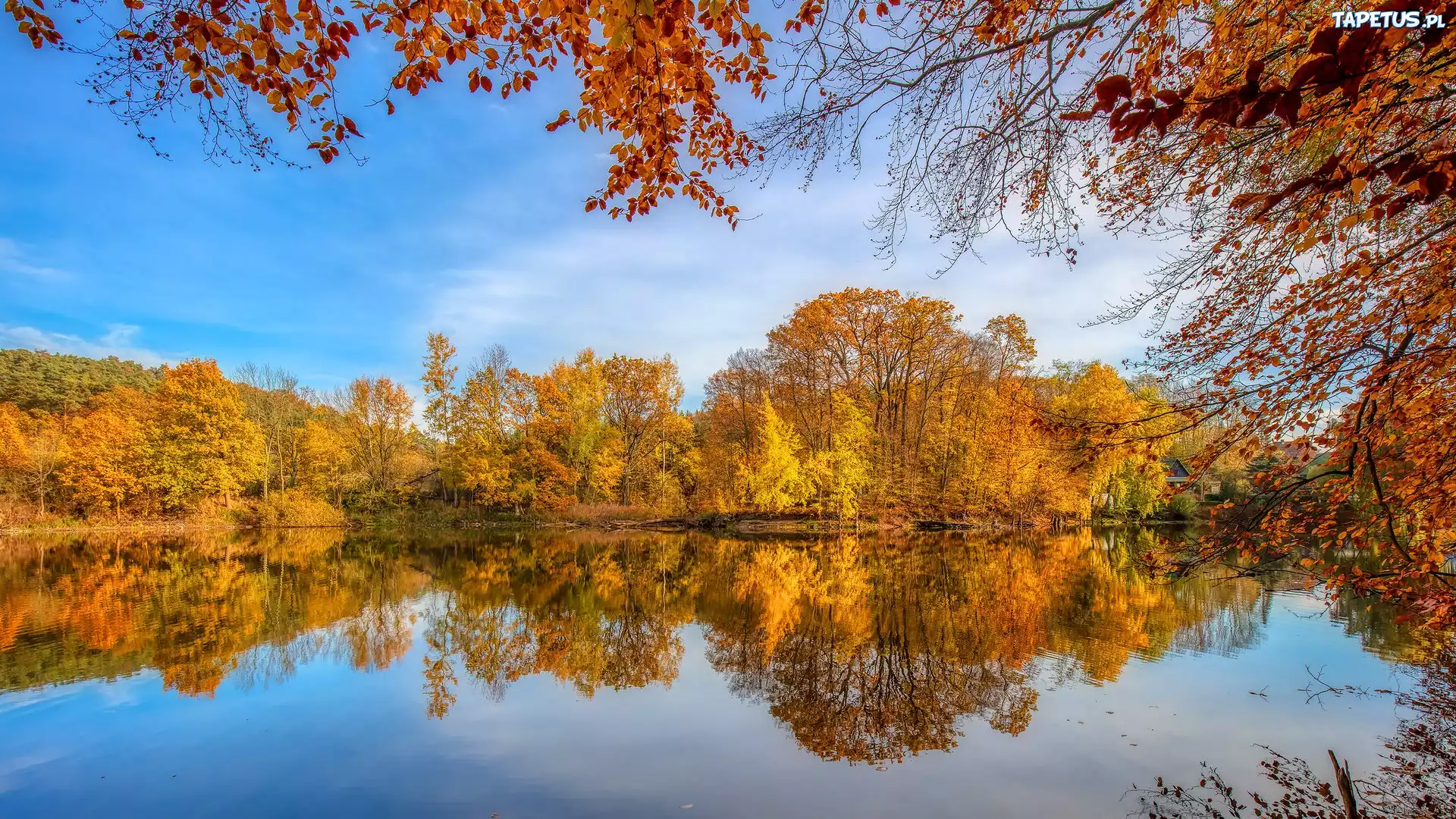 Jesień, Jezioro, Pożółkłe, Drzewa