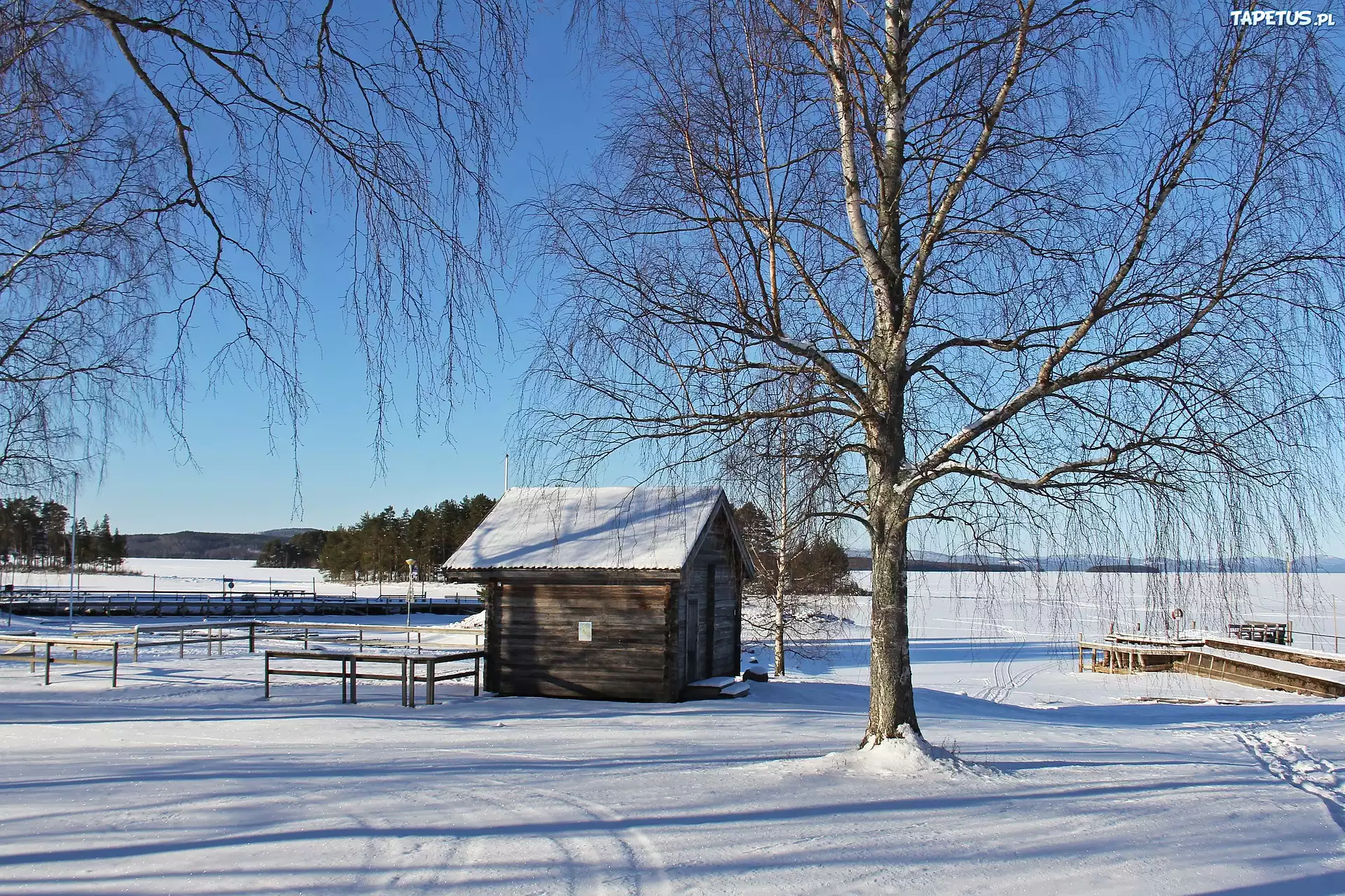 Zima, Jezioro, Drzewa, Pomost, Śnieg, Dom, Szopa, Tallberg, Szwecja