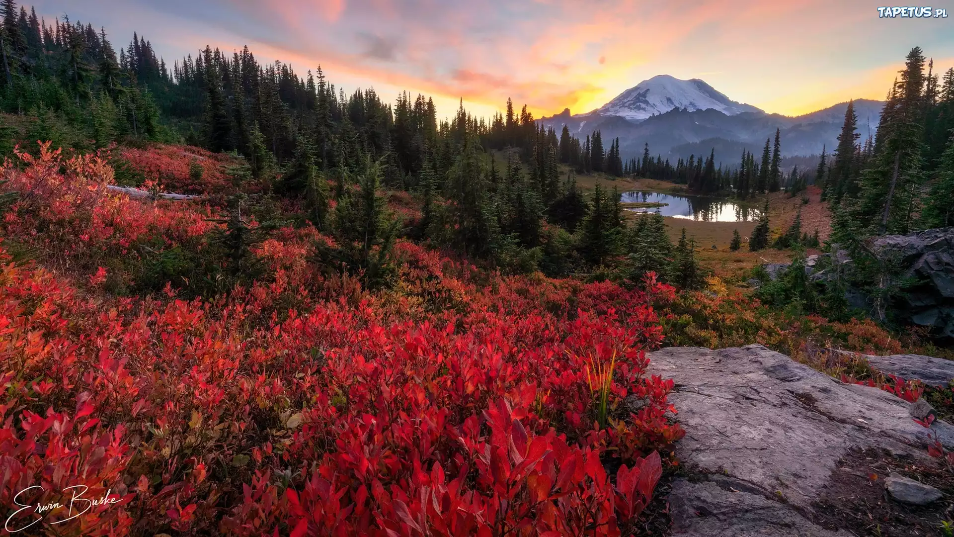Stany Zjednoczone, Stan Waszyngton, Park Narodowy Mount Rainier, Góry, Lasy, Jezioro, Drzewa, Skały, Kolorowa, Roślinność