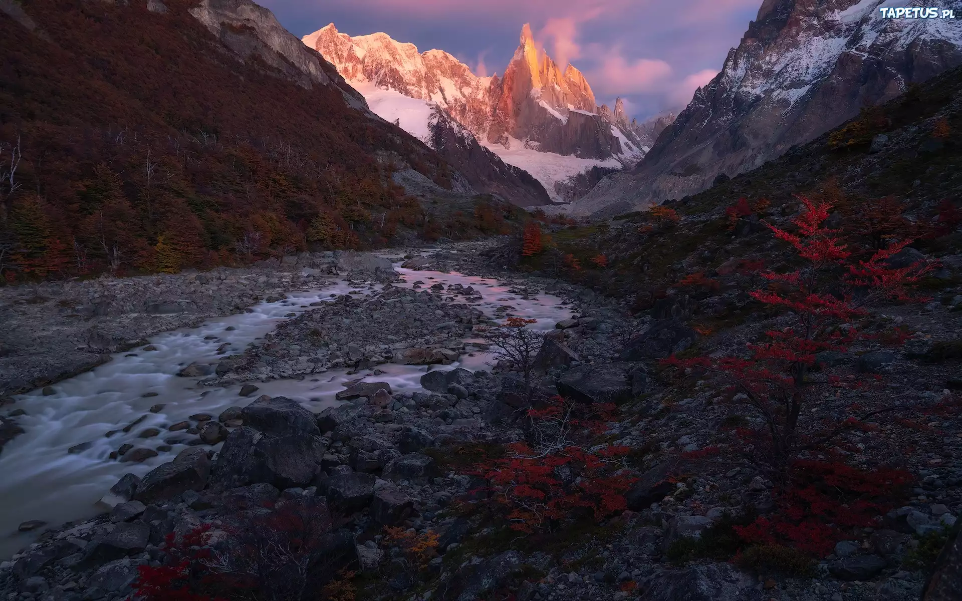 Argentyna, Patagonia, Góry, Cerro Torre, Rzeka, Roślinność