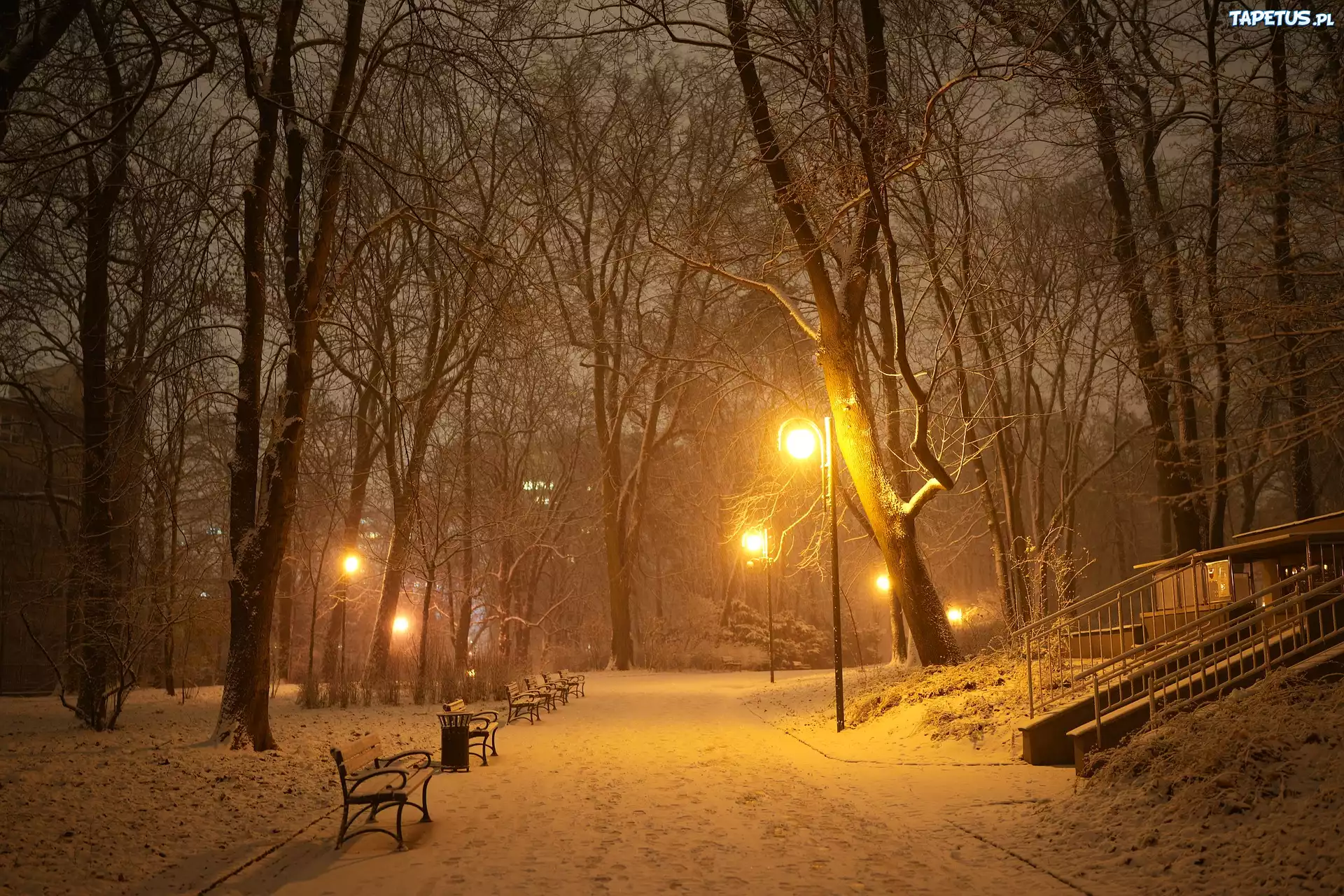 Zima, Park, Noc, Latarnie, Drzewa