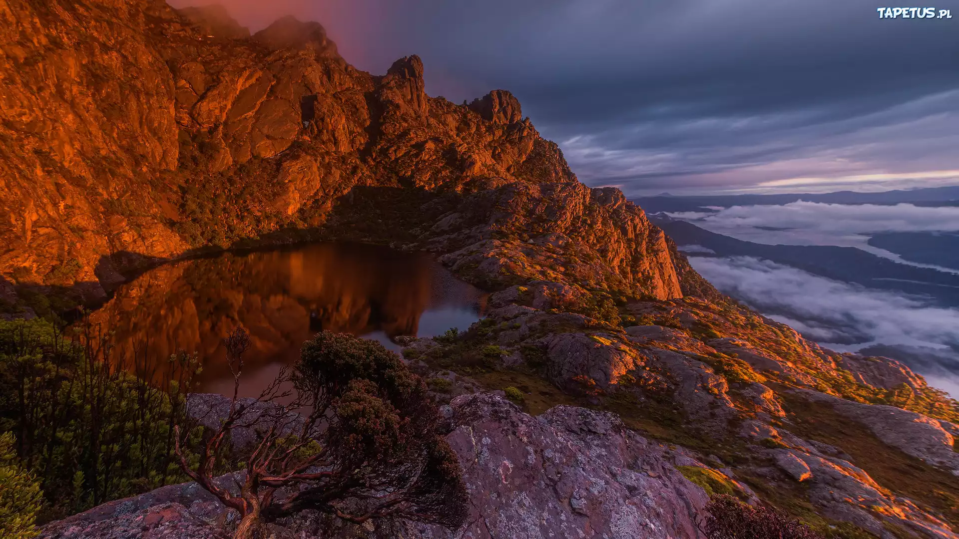 Skały, Jezioro, Drzewo, Sosna, Góry, Tasmania, Australia