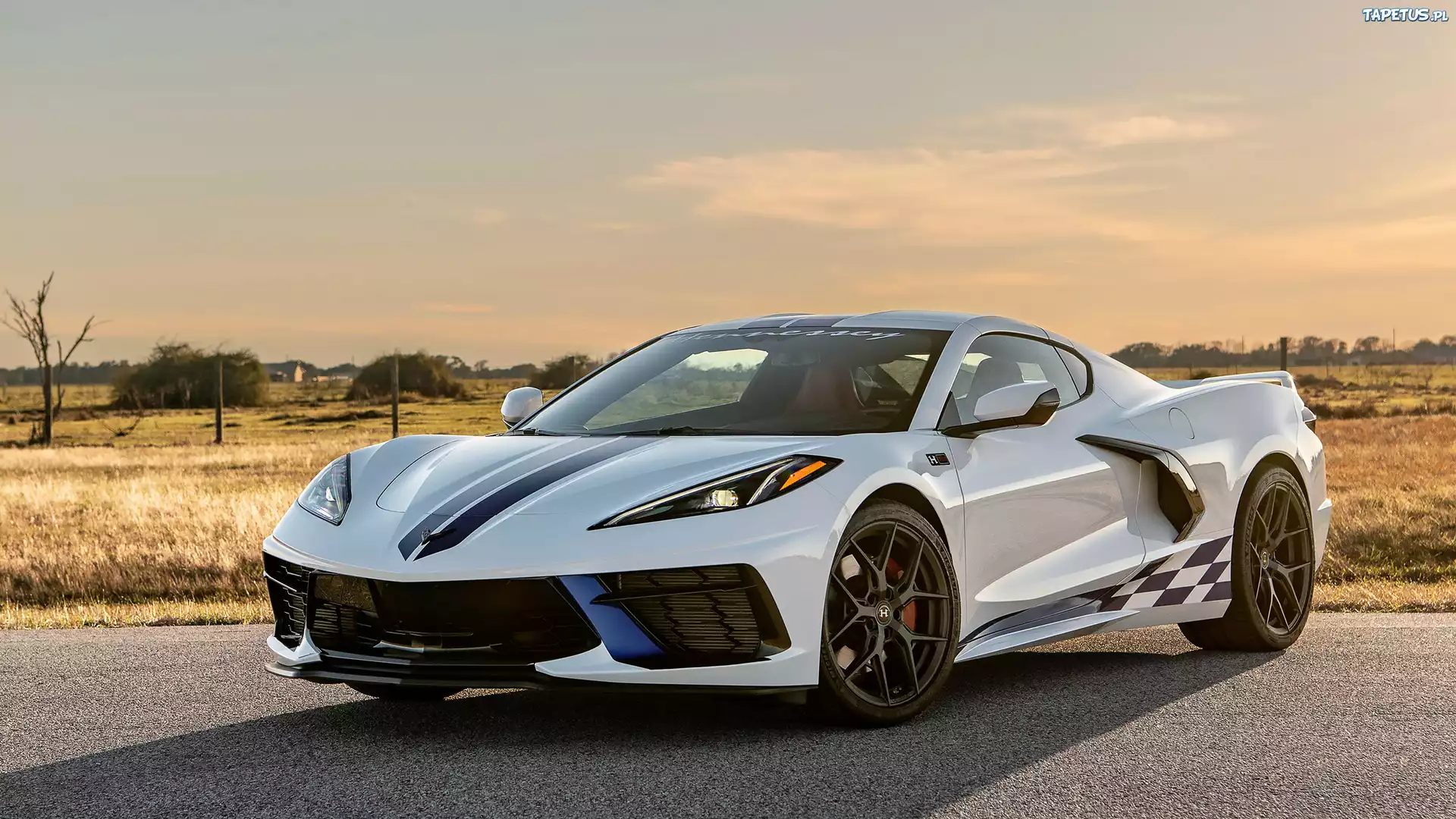 Chevrolet C8 Corvette Stingray, Hennessey Supercharge H700, Biały, Przód, Pobocze, Łąka, Niebo, 2023
