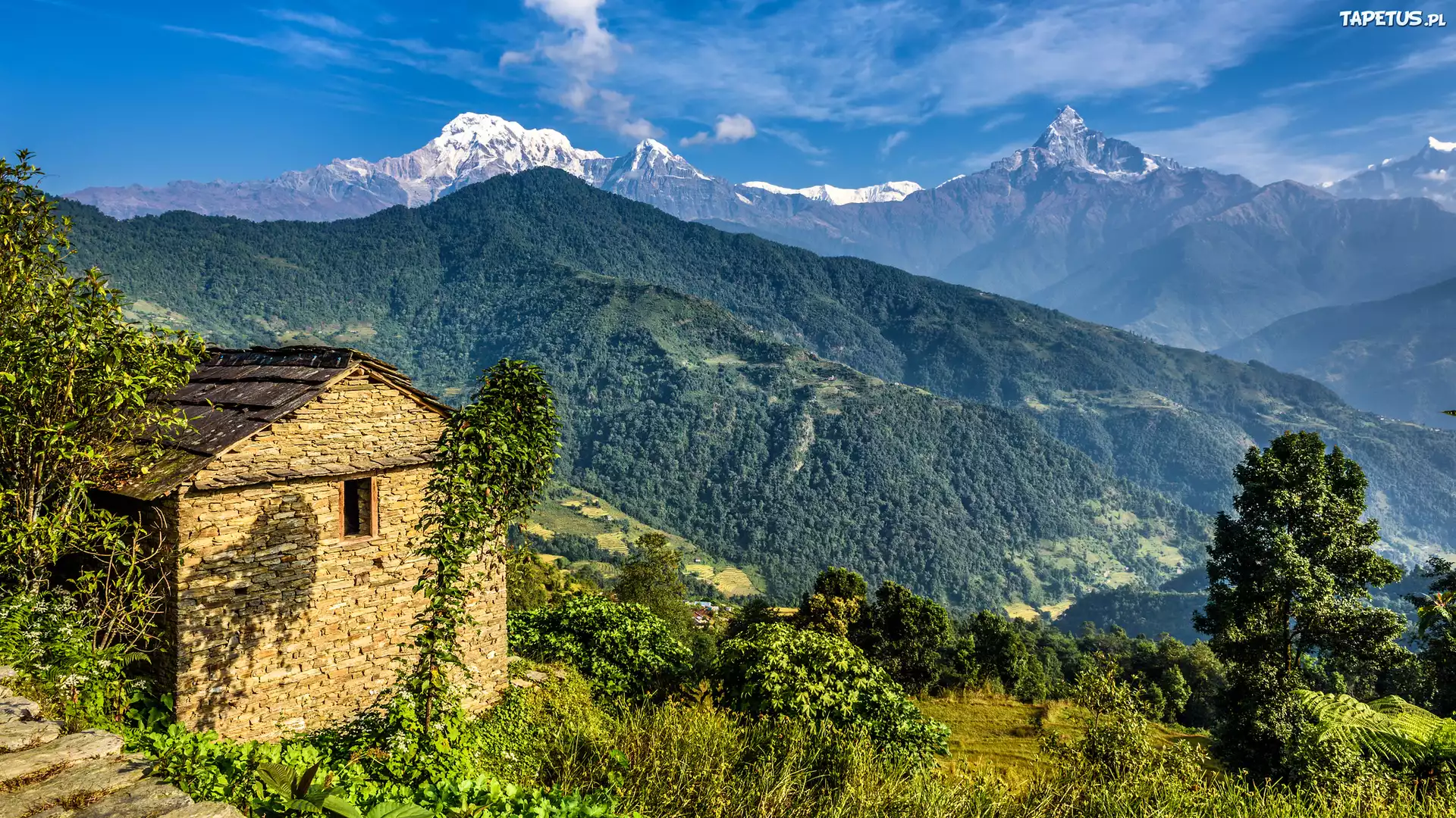 Góry, Himalaje, Dom, Drzewa, Nepal