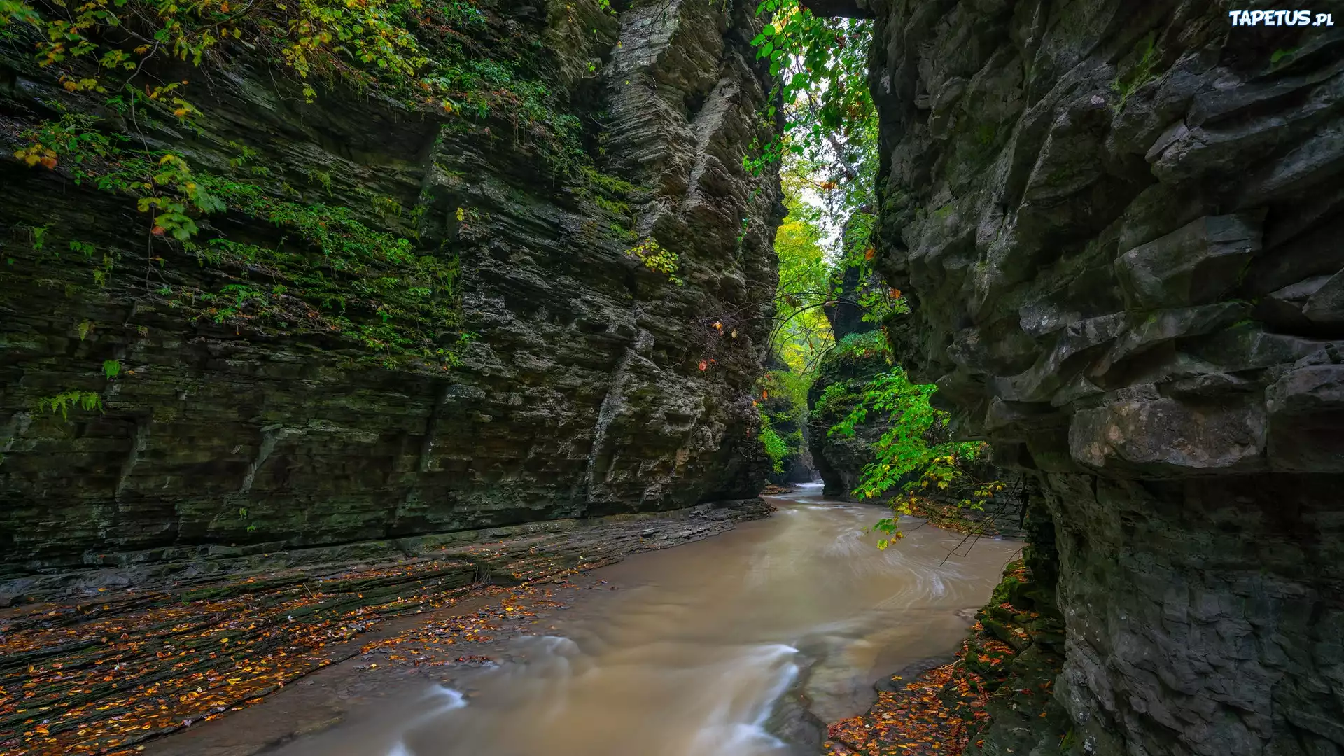 Wąwóz, Skały, Rzeka Glen Creek, Watkins Glen State Park, Nowy Jork, Stany Zjednoczone