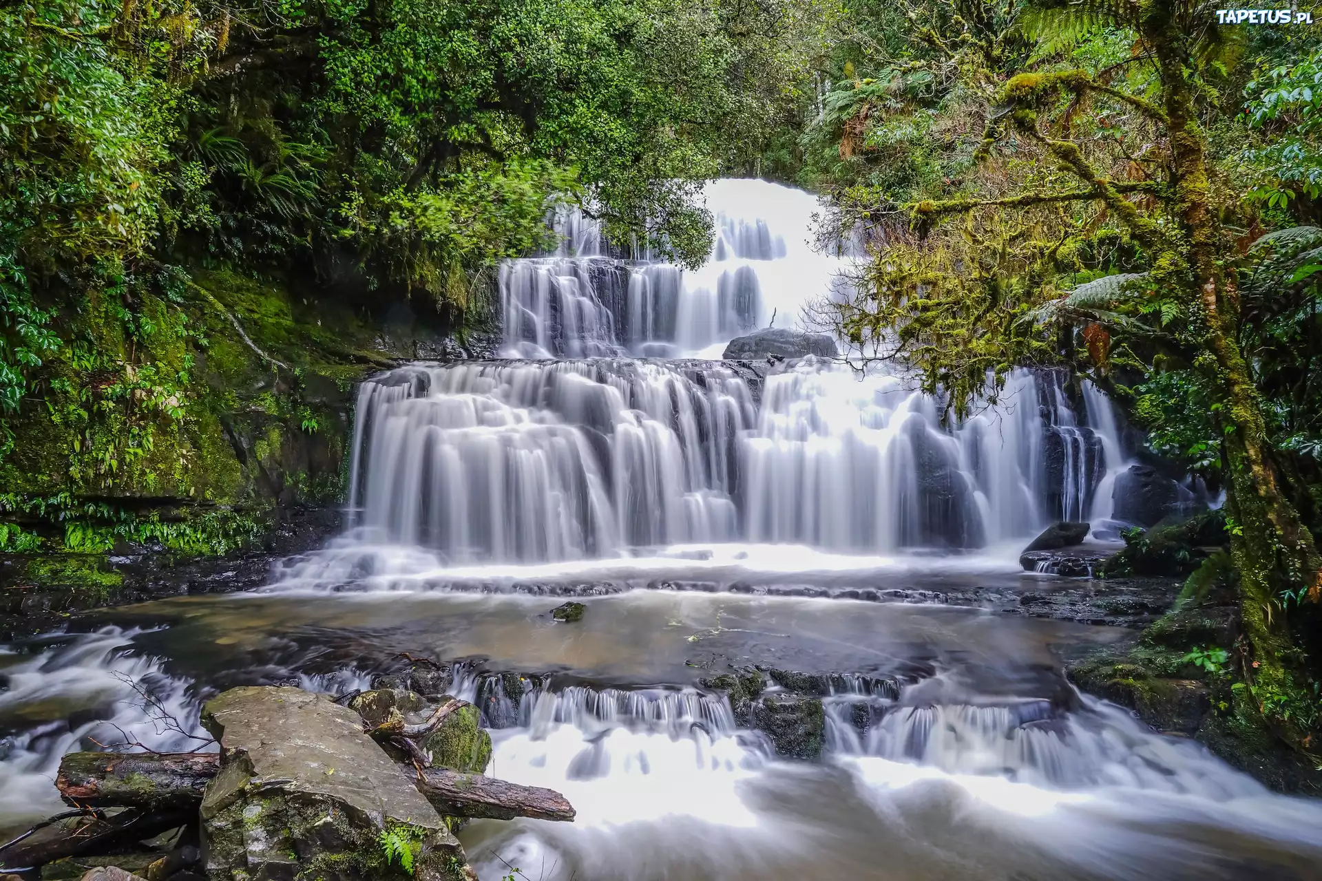 Las, Wodospad, Purakaunui Falls, Drzewa, Skała, Catlins, Nowa Zelandia