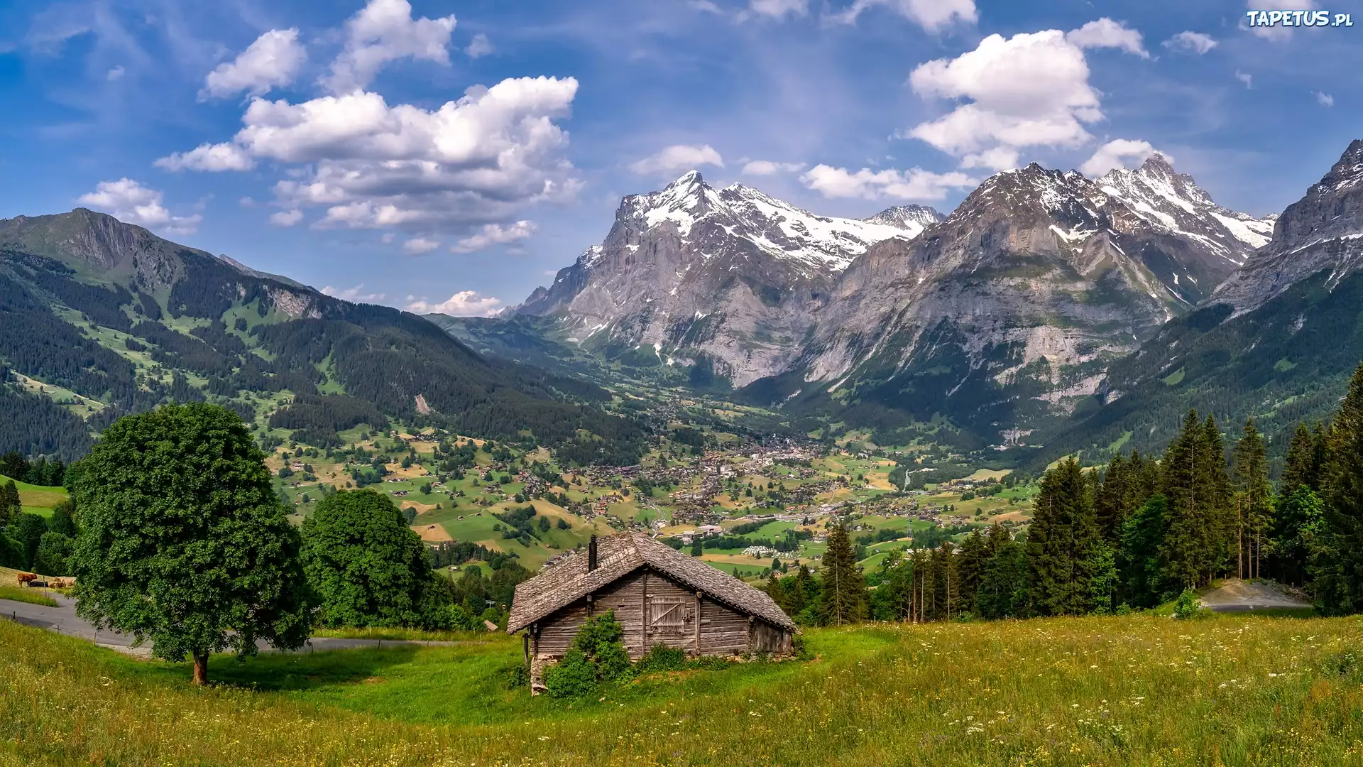 Lato, Góry, Alpy, Dom, Dolina, Grindelwald, Szwajcaria