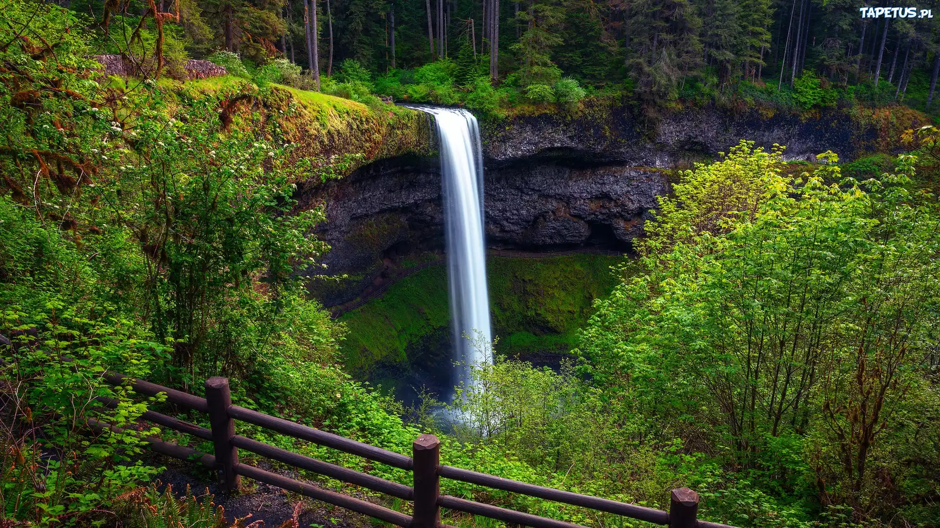 Wodospad, South Falls, Skały, Drzewa, Ogrodzenie, Park stanowy Silver Falls, Stan Oregon, Stany Zjednoczone