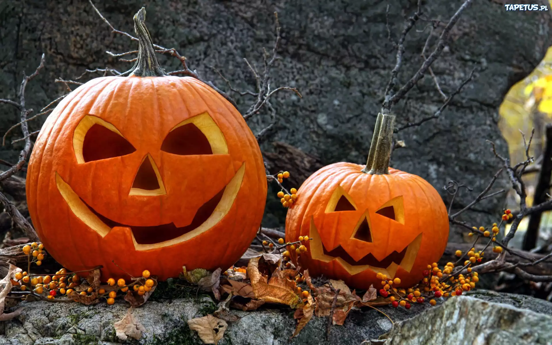 Halloween, Dynie, Gałązki, Liście