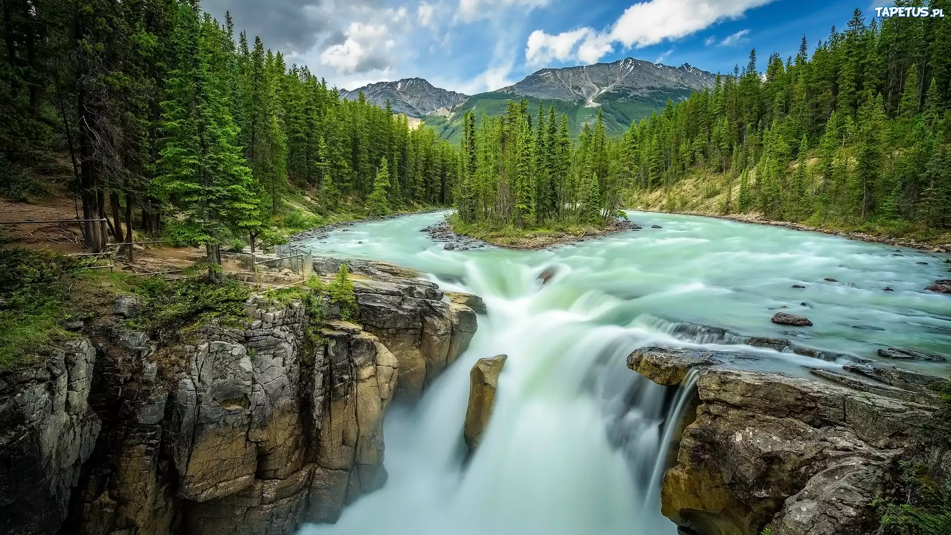 Drzewa, Skały, Wodospad, Sunwapta Falls, Rzeka, Sunwapta, Park Narodowy Jasper, Alberta, Kanada