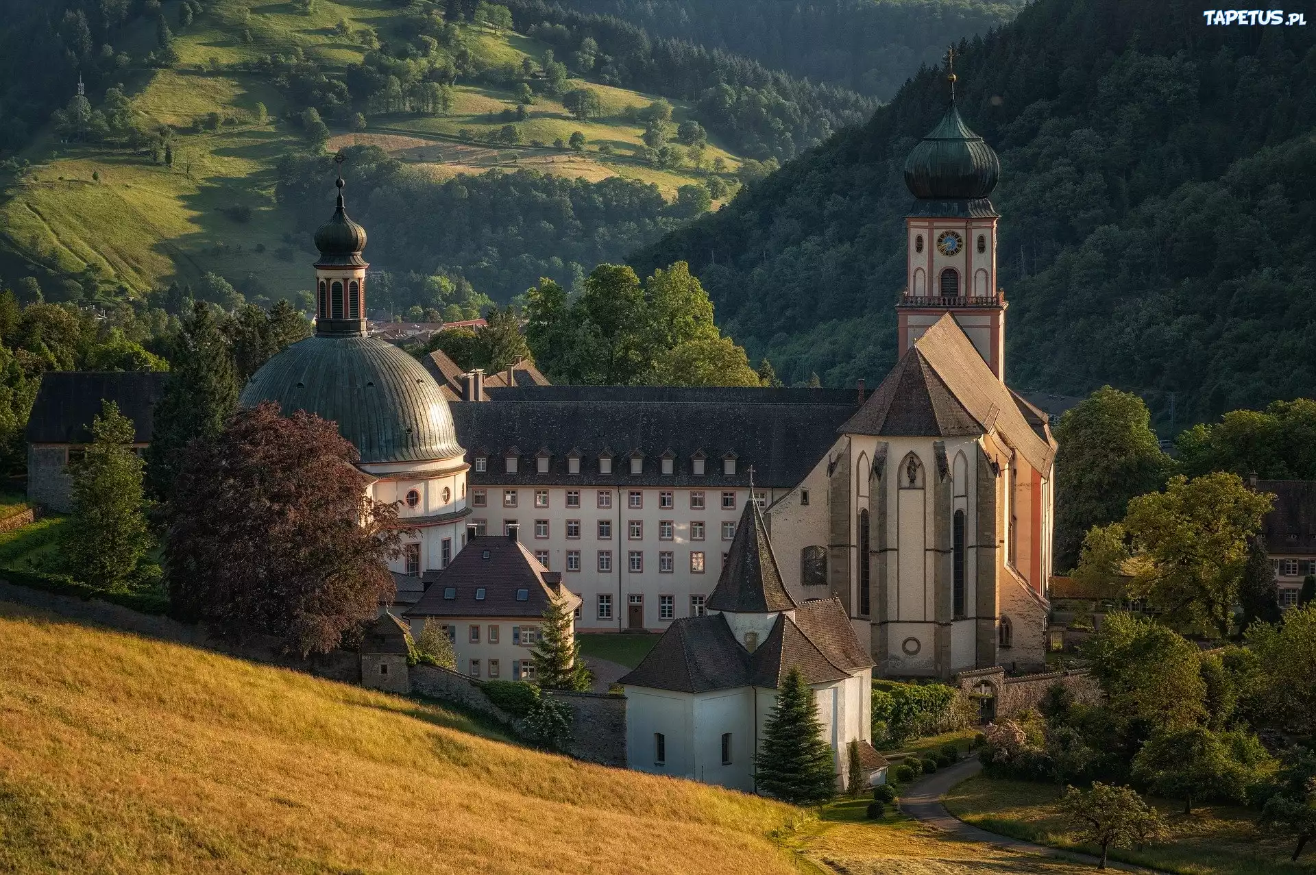 Klasztor, Opactwo św Trudperta, Drzewa, Góry, Munstertal, Niemcy