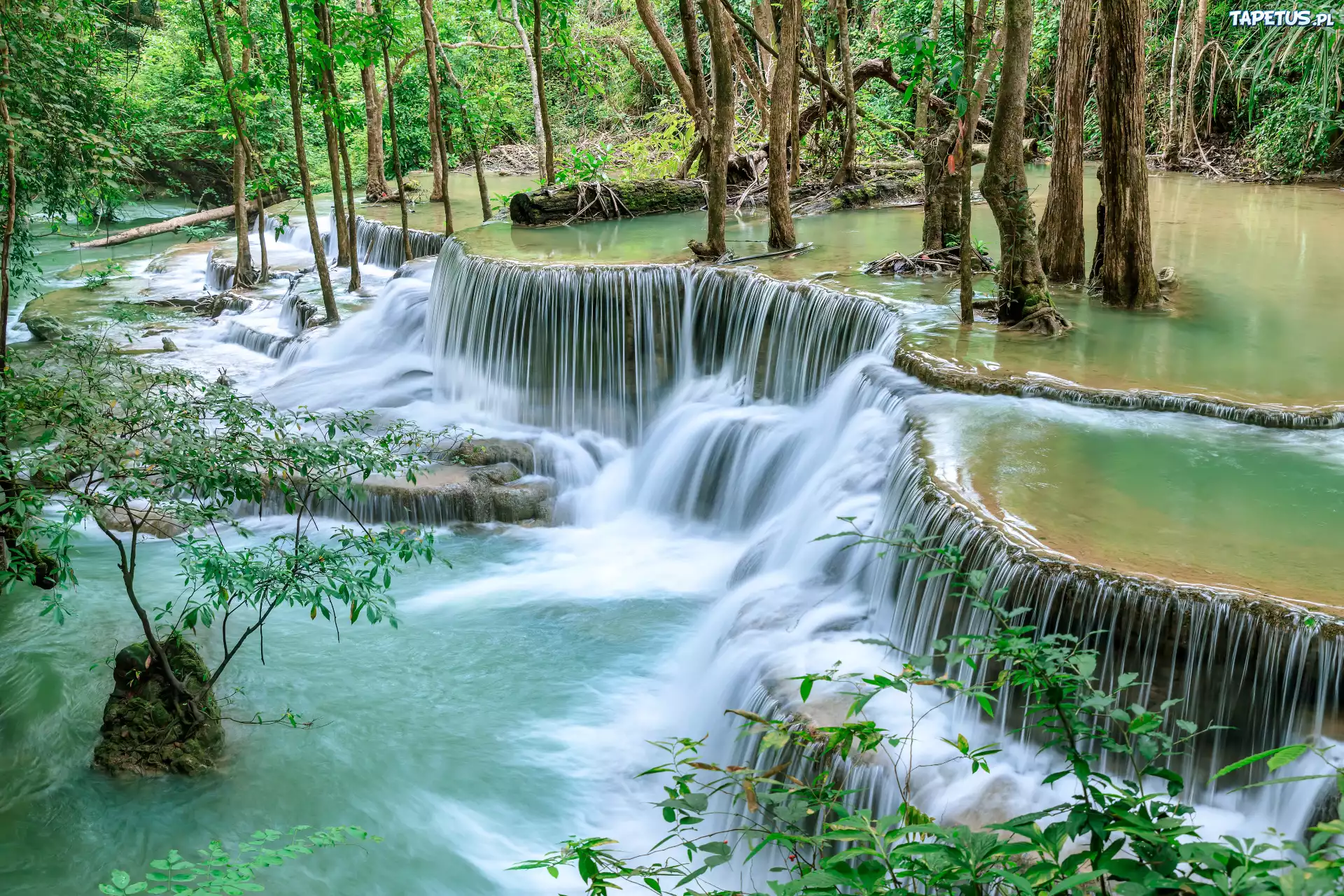 Las, Drzewa, Rośliny, Kamienie, Wodospad Huai Mae Khamin, Park Narodowy Khuean Srinagarindra, Prowincja Kanchanaburi, Tajlandia