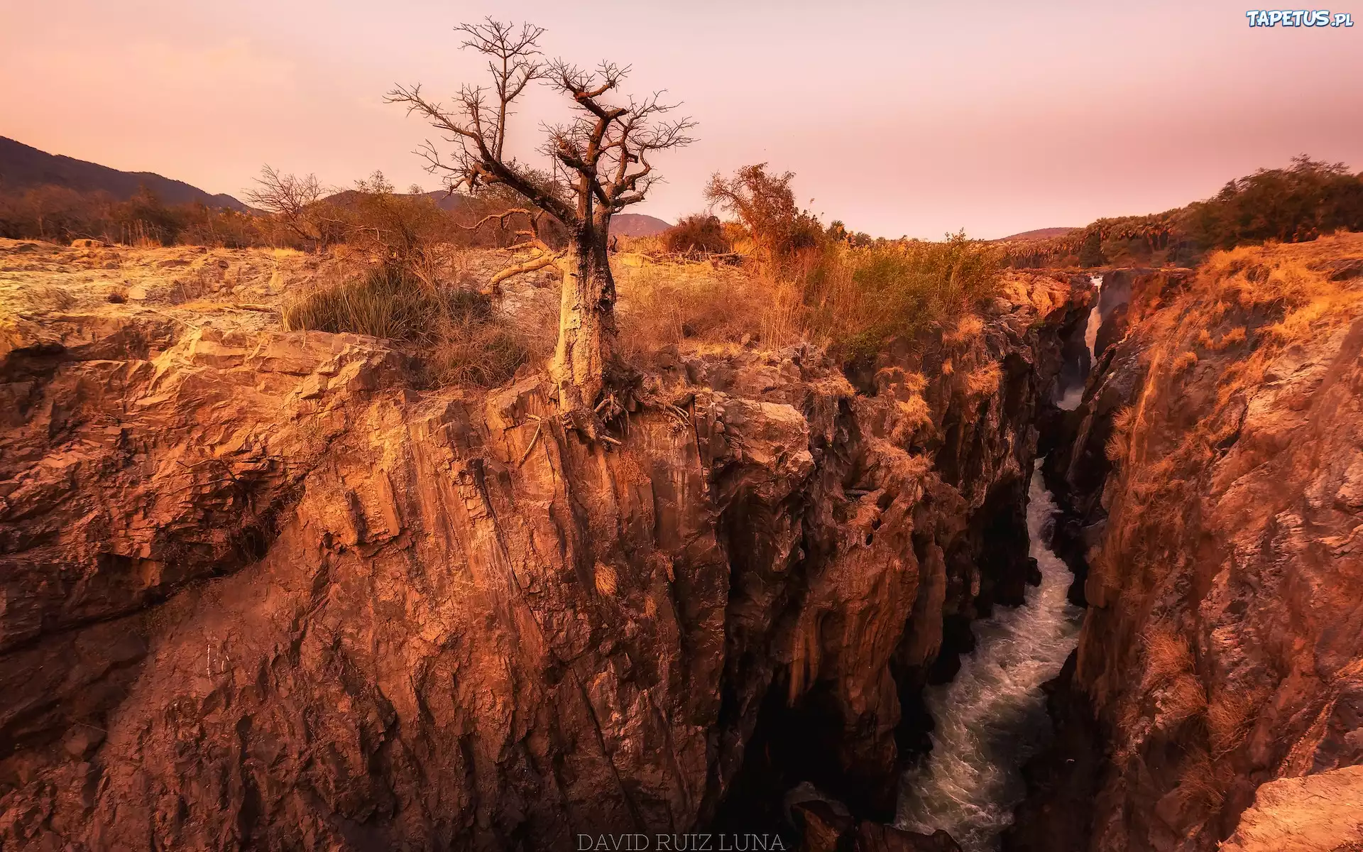 Afryka, Namibia, Region Kunene, Skały, Wąwóz, Rzeka, Cunene River, Wodospad, Epupa Falls, Drzewo