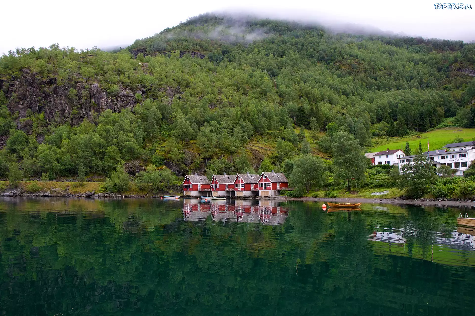 Fiord Aurlandsfjord, Norwegia, Góra, Las, Mgła, Domy