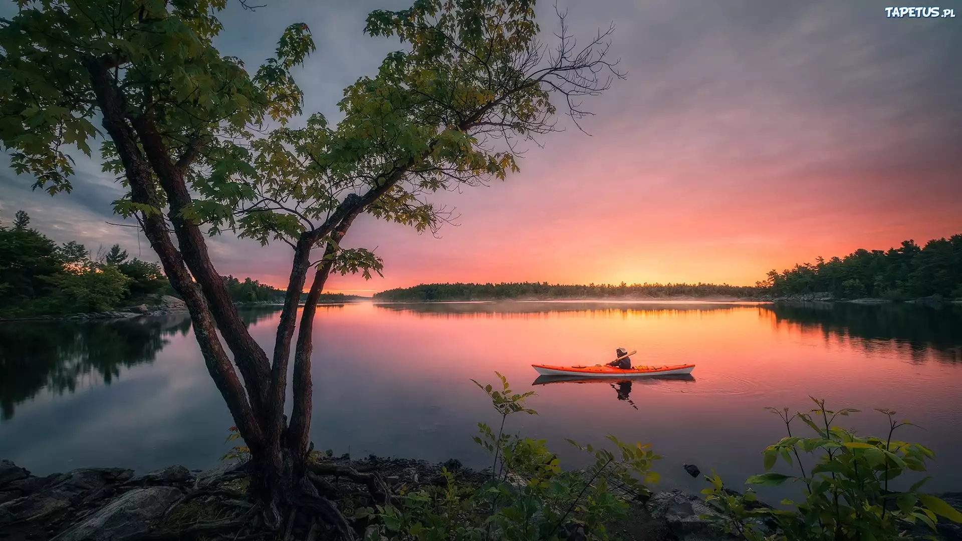Rzeka, French River, Kajak, Drzewa, Wschód słońca, Ontario, Kanada