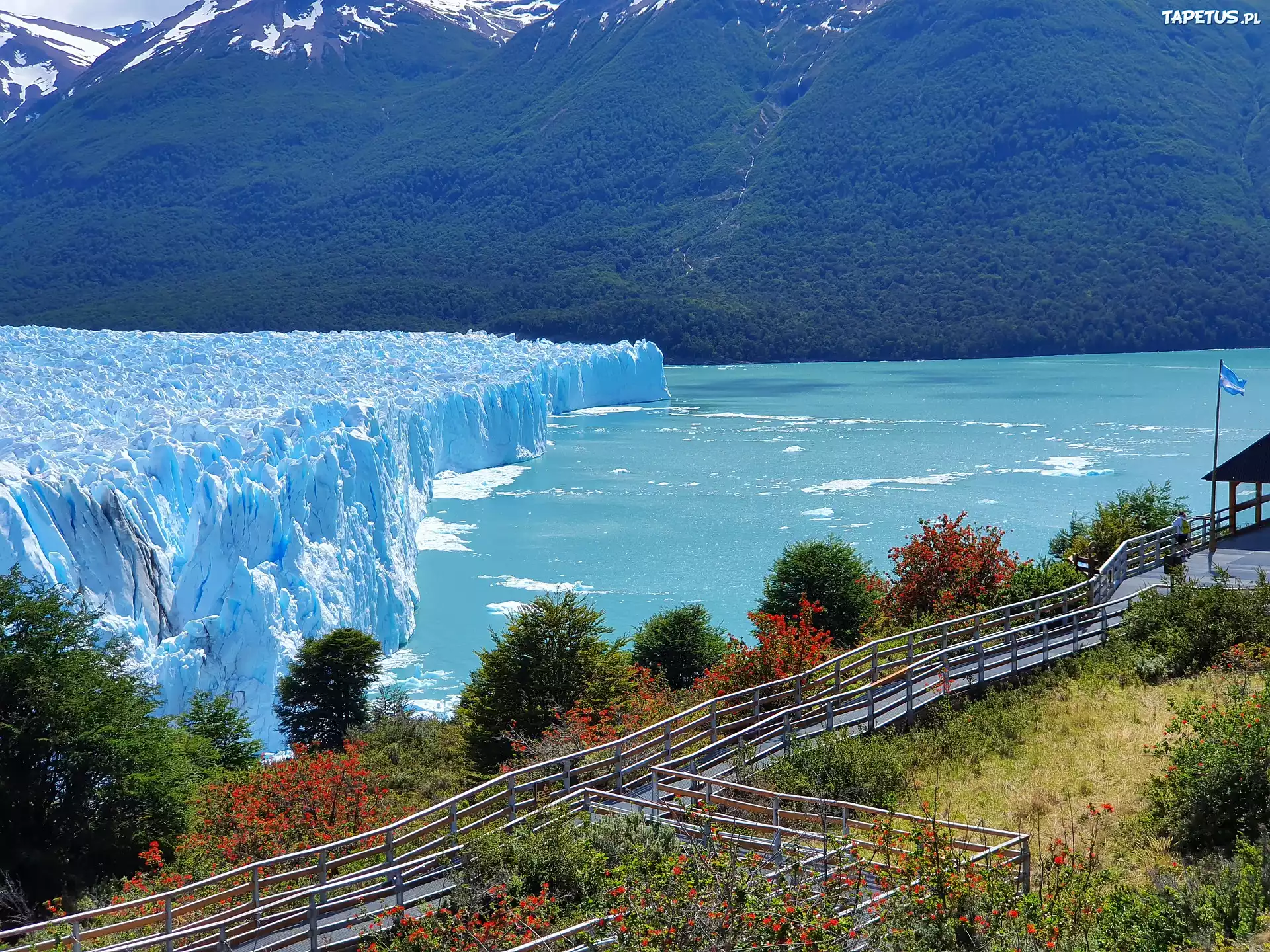 Lodowiec, Perito Moreno, Park Narodowy Los Glaciares, Argentyna