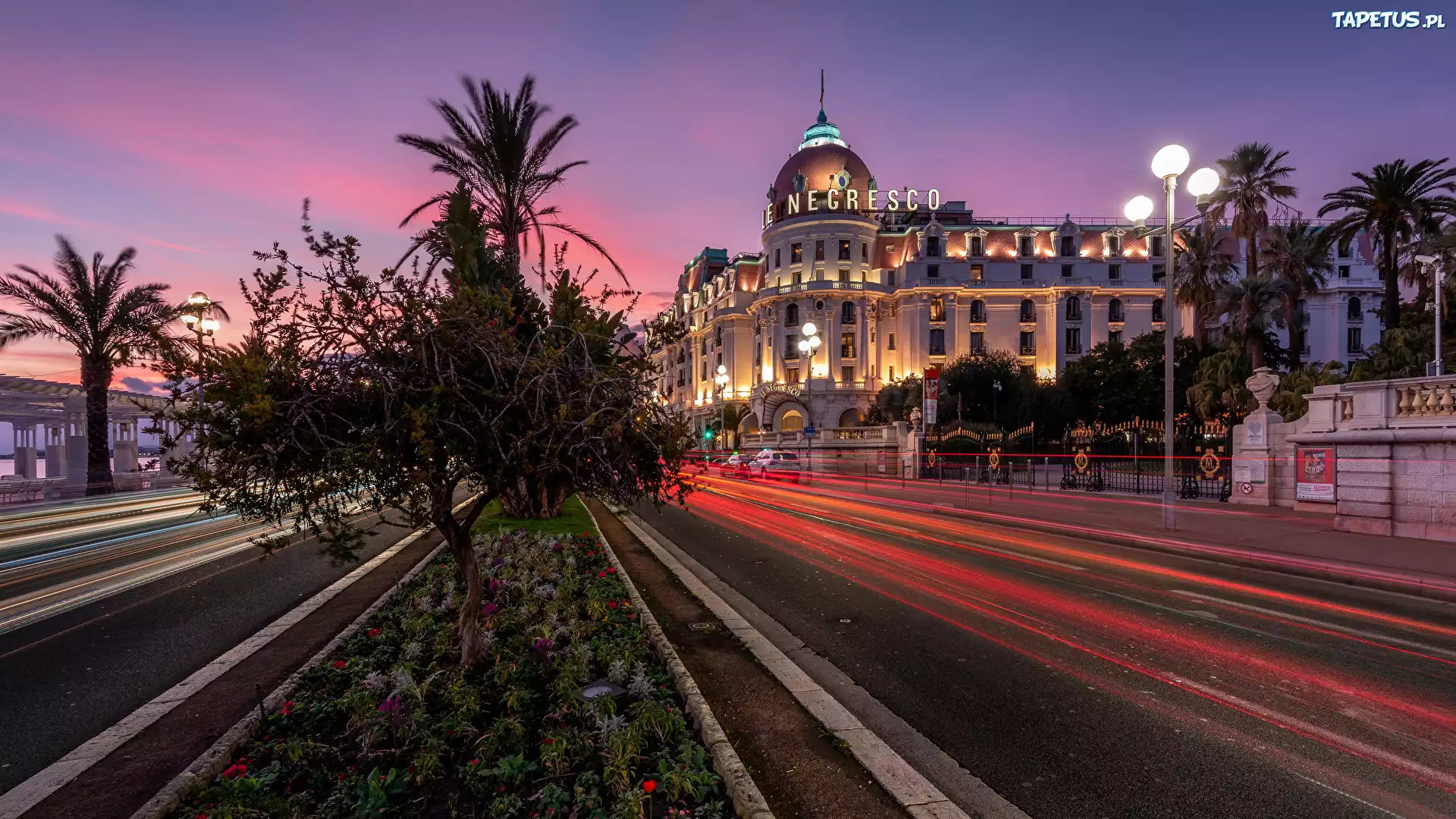 Francja, Nicea, Noc, Ulica, Drzewa, Domy, Hotel Negresco
