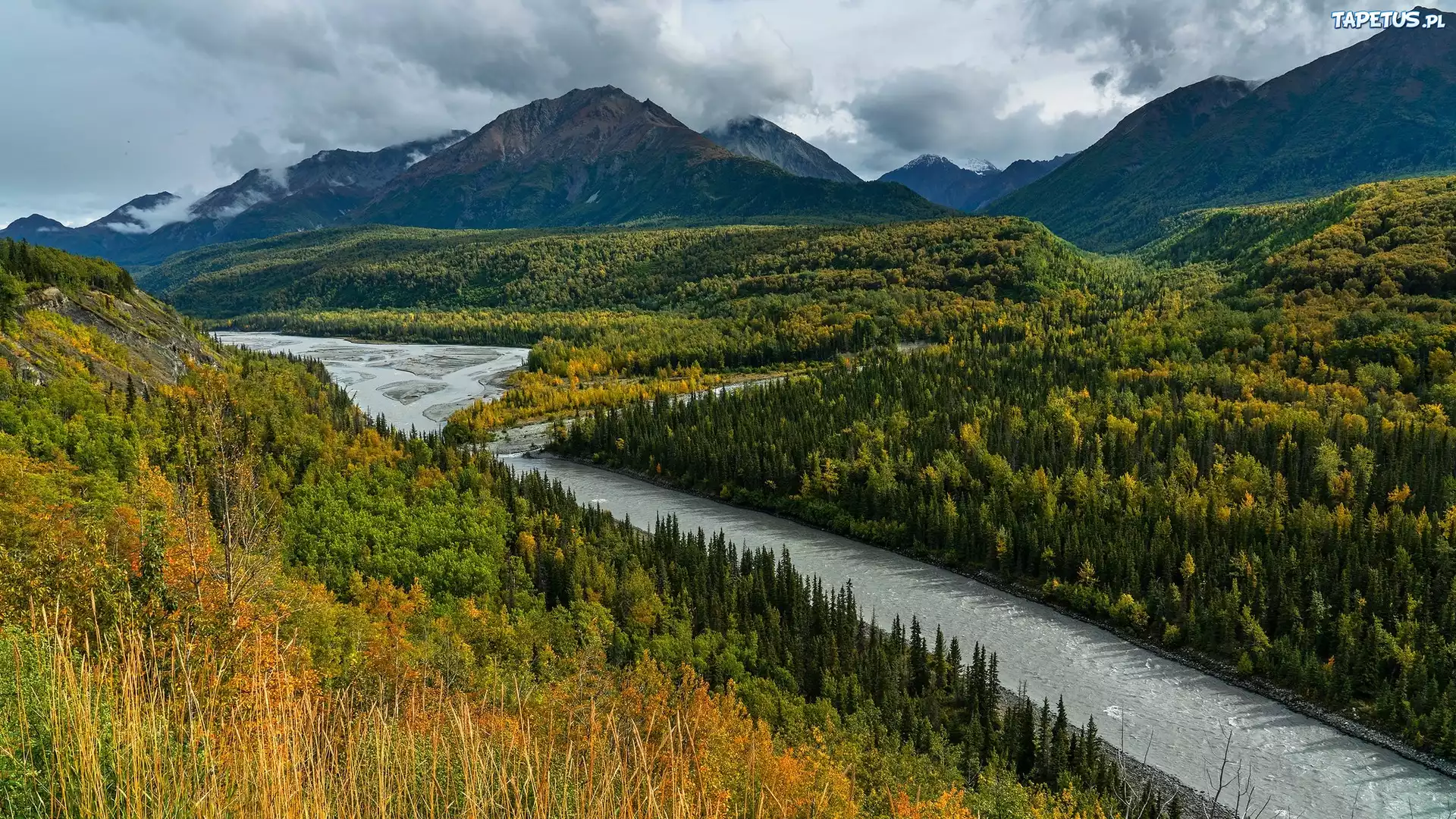 Góry, Chugach Mountains, Rzeka, Matanuska River, Drzewa, Chickaloon, Alaska, Stany Zjednoczone