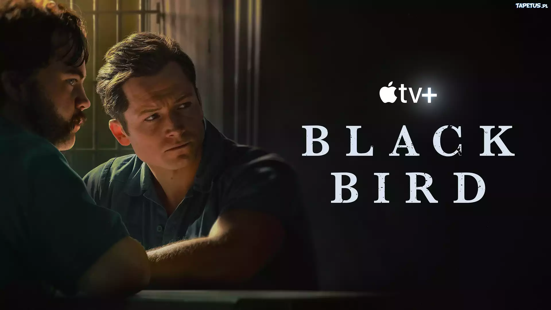 Filmowe, Seriale, Black Bird, Mężczyźni, Aktor, Taron Egerton, Postać, James Keene, Aktor, Paul Walter Hauser, Postać, Larry Hall, Plakat