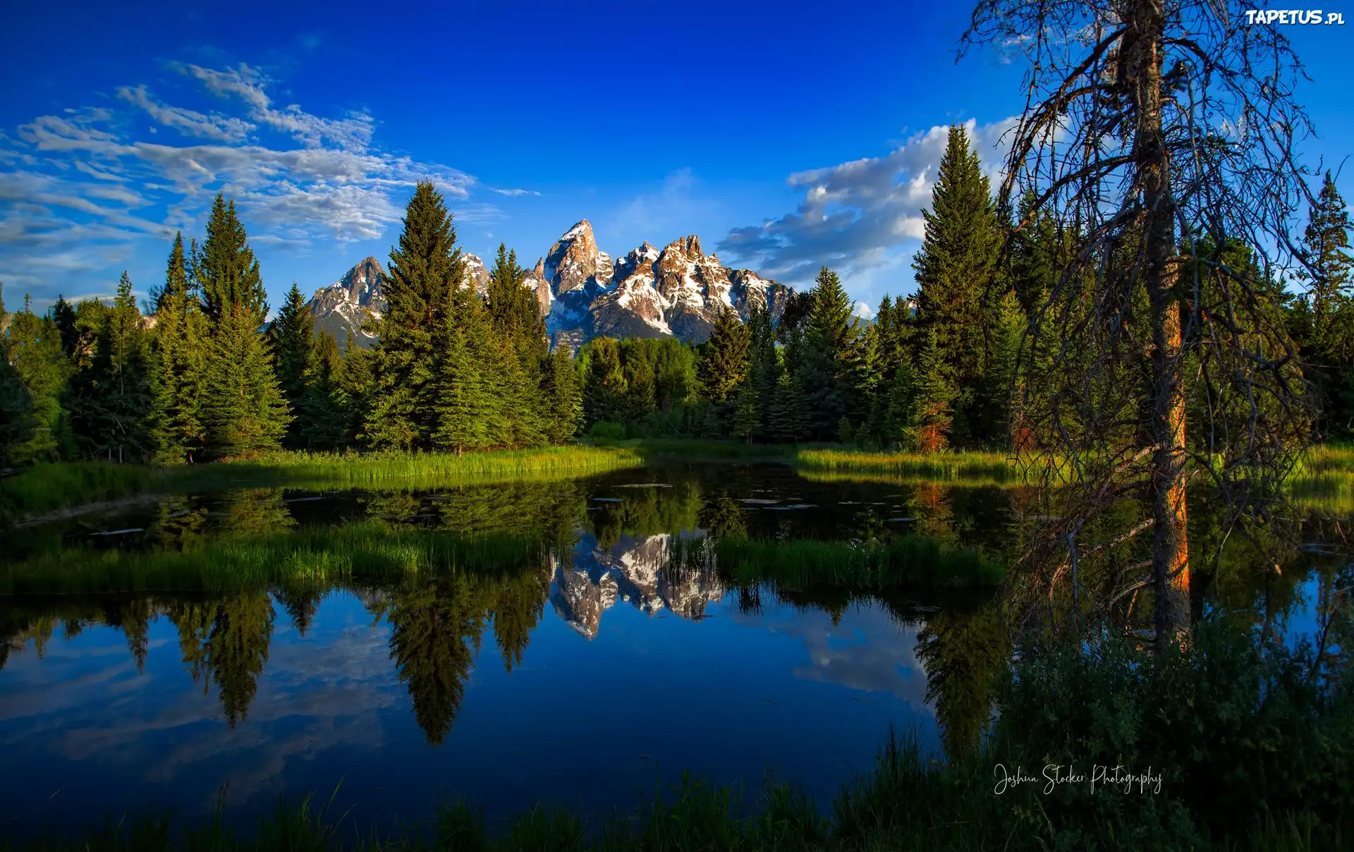Stany Zjednoczone, Wyoming, Park Narodowy Grand Teton, Góry, Grand Teton, Rzeka, Snake River, Drzewa, Wschód słońca