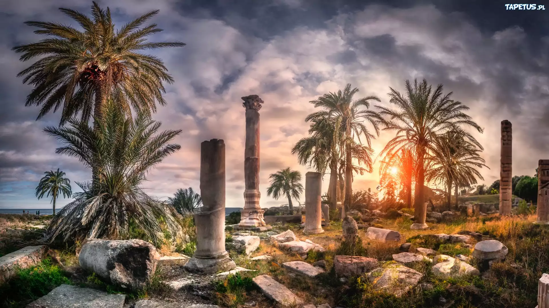 Hiszpania, Almeria, Turaniana, Ruiny, Palmy, Promienie słońca, Fotomontaż