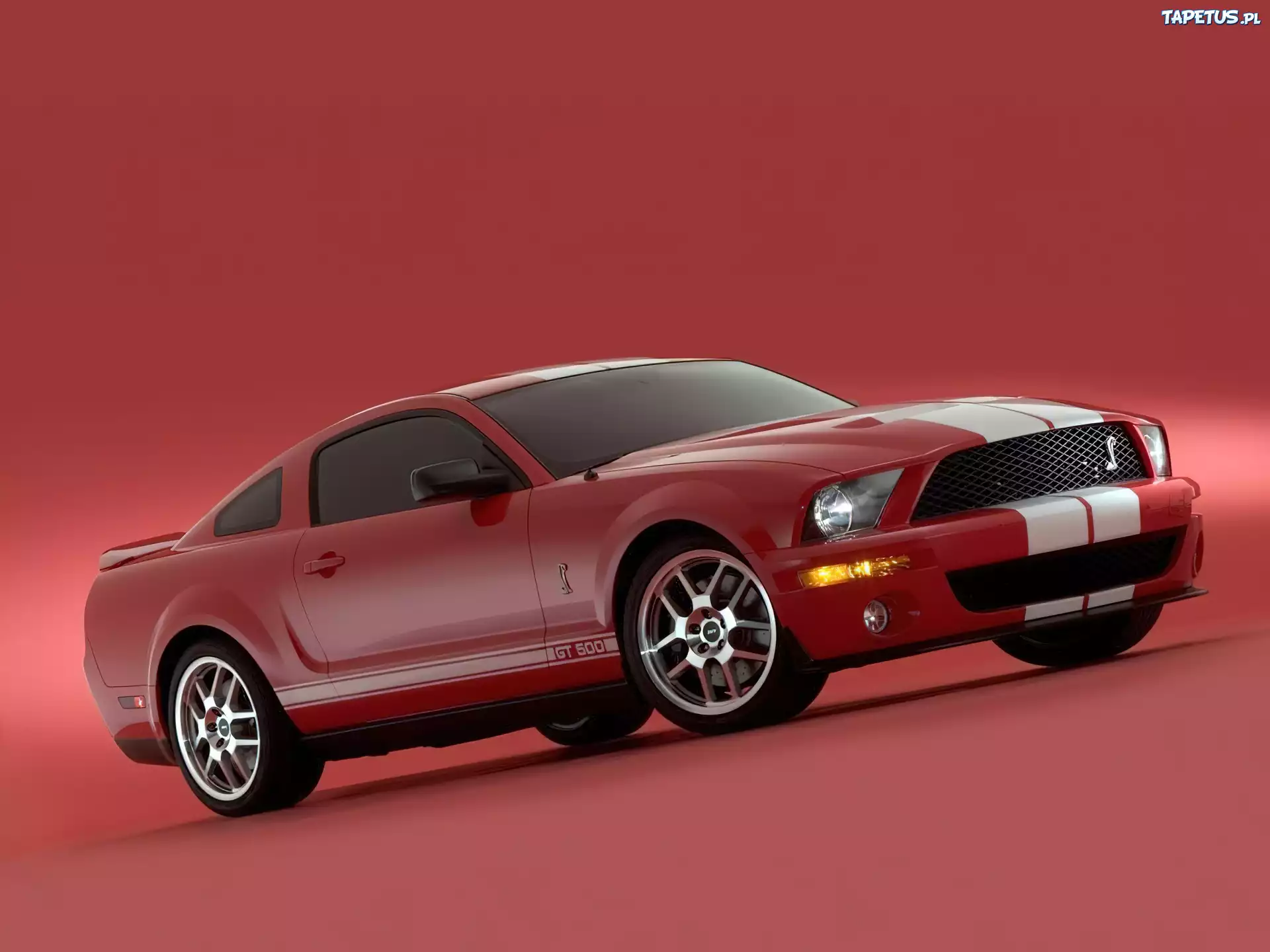 Shelby, Ford Mustang