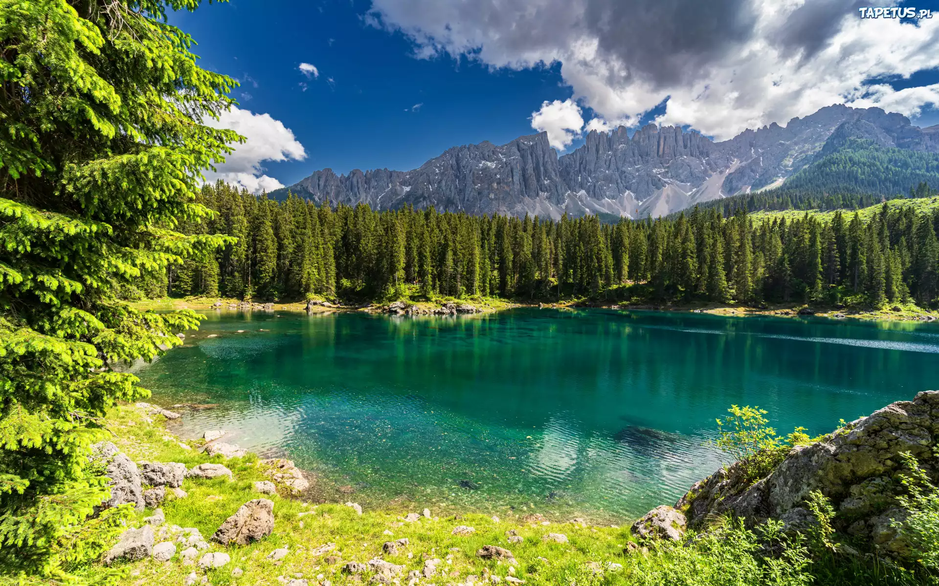 Włochy, Góry, Dolomity, Góra Latemar, Jezioro, Karersee Lake, Lasy, Drzewa, Chmury, Odbicie, Kamienie, Zieleń, Lato