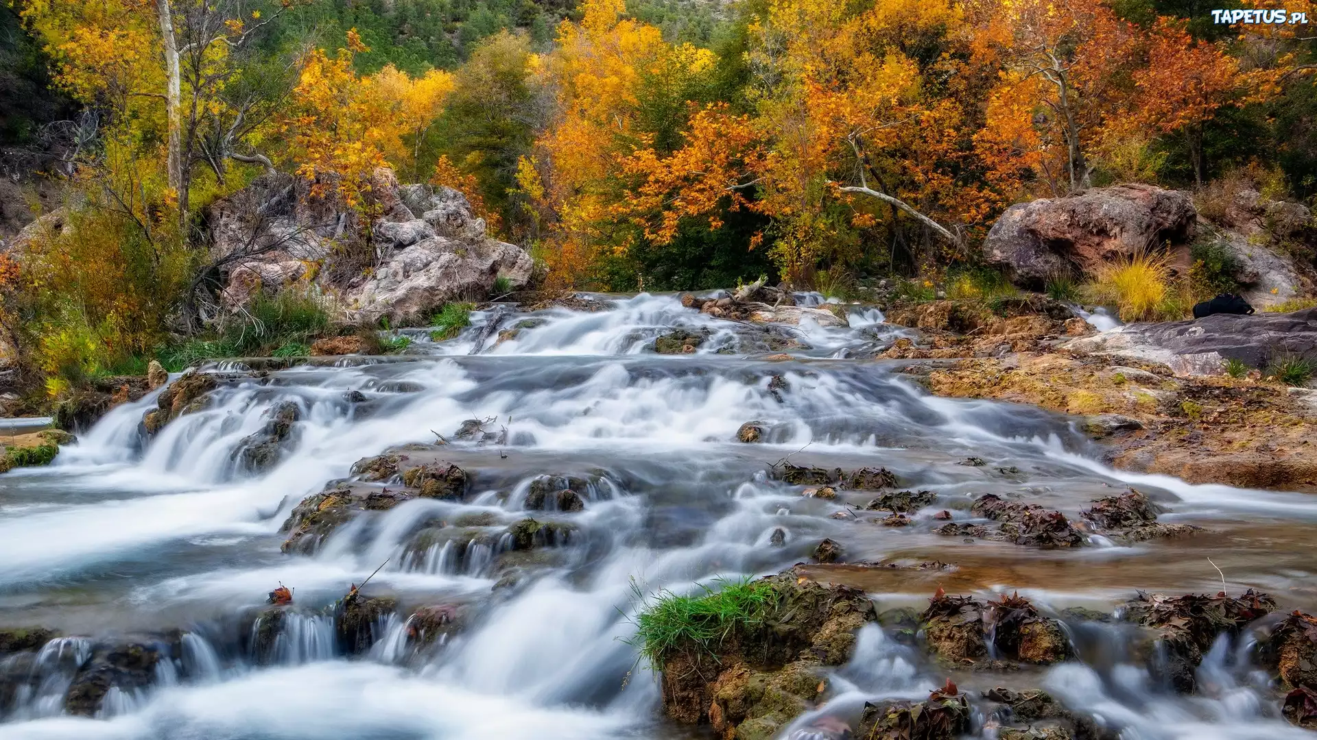 Stany Zjednoczone, Arizona, Strawberry, Fossil Creek, Rzeka, Jesień, Drzewa, Skały